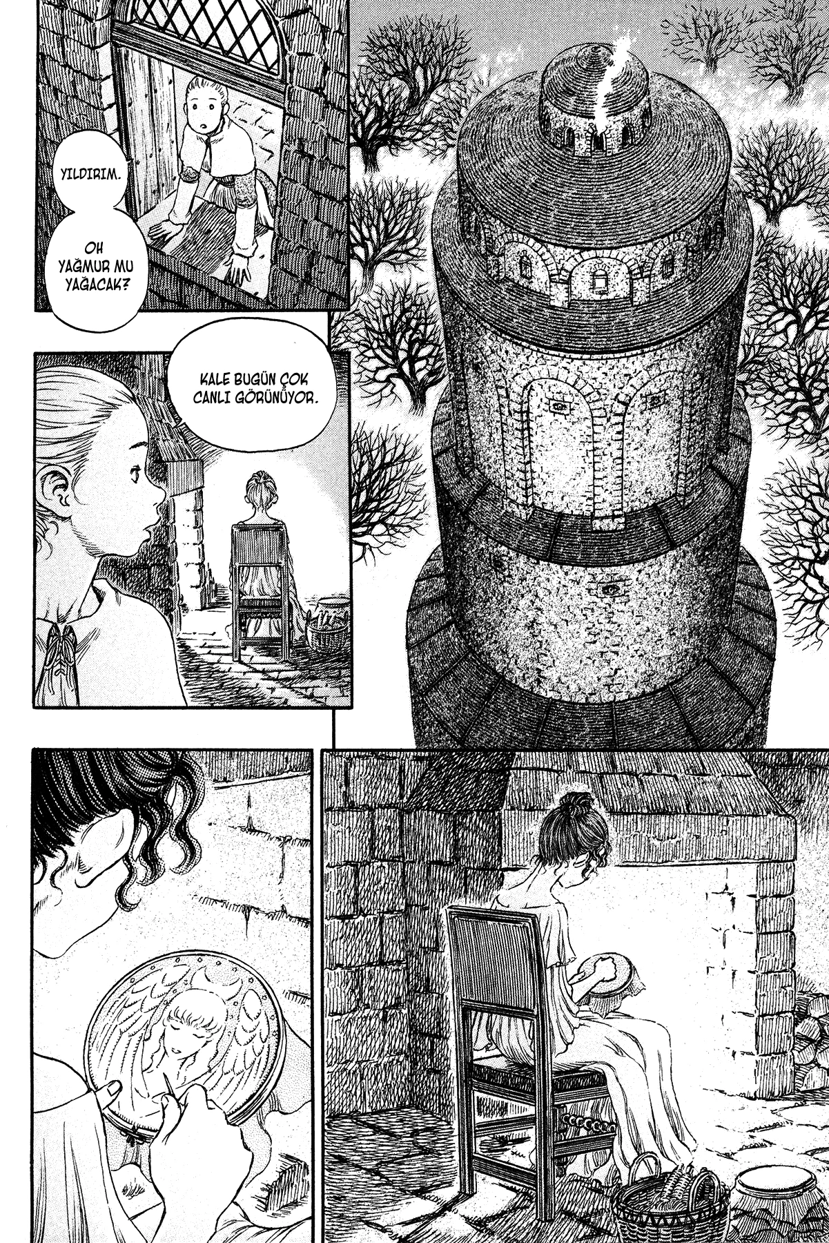 Read Berserk TR Manga Online