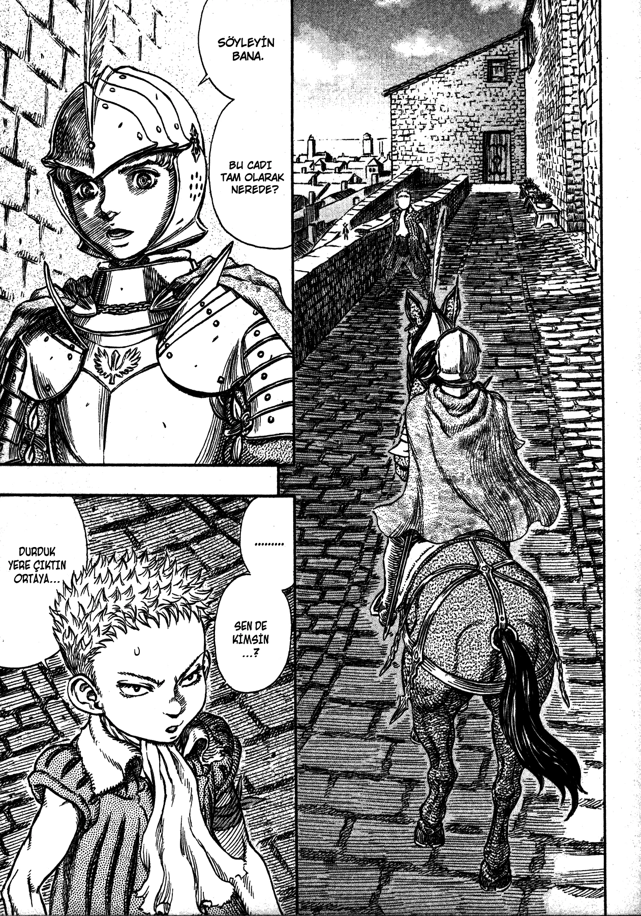 Read Berserk TR Manga Online
