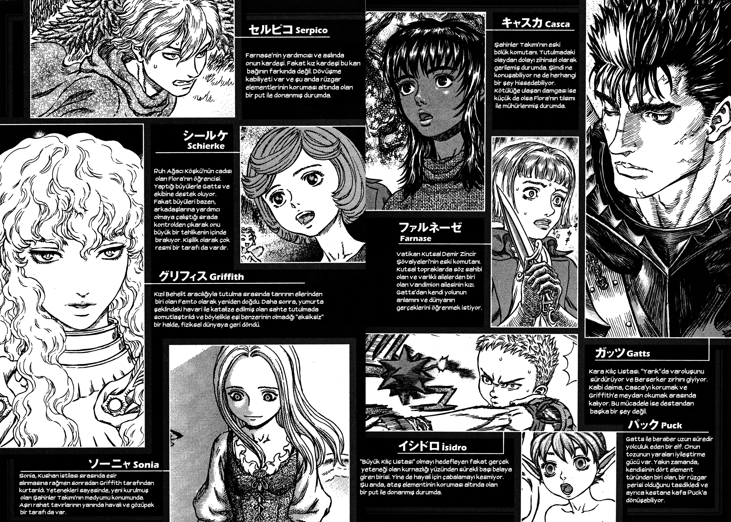 Read Berserk TR Manga Online