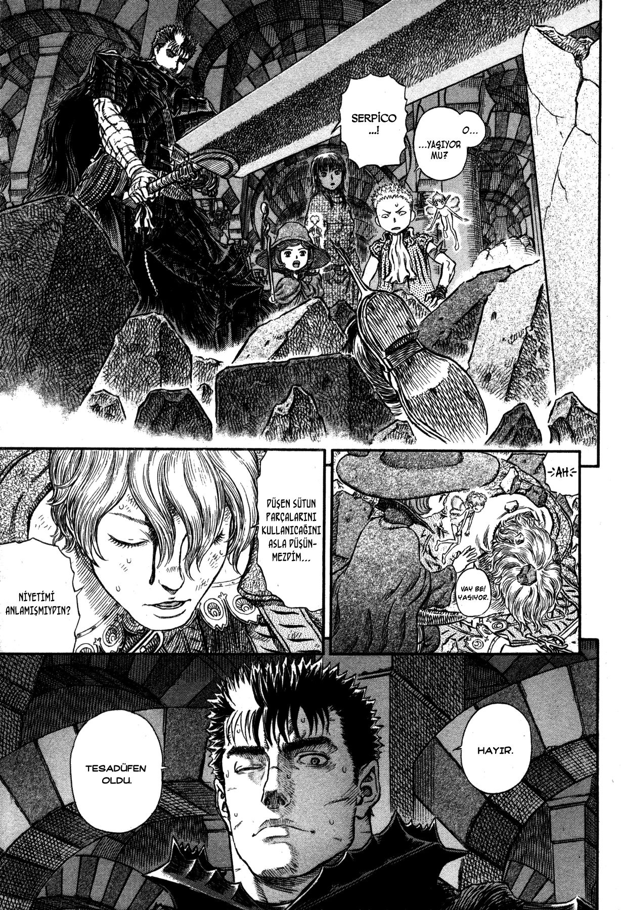 Read Berserk TR Manga Online