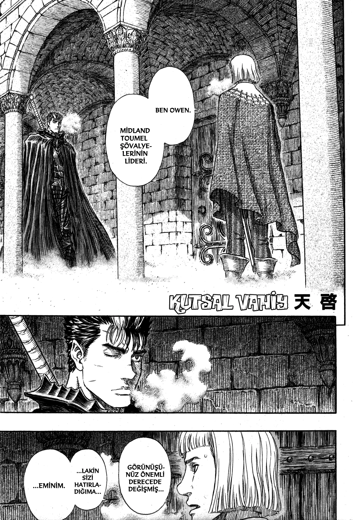 Read Berserk TR Manga Online