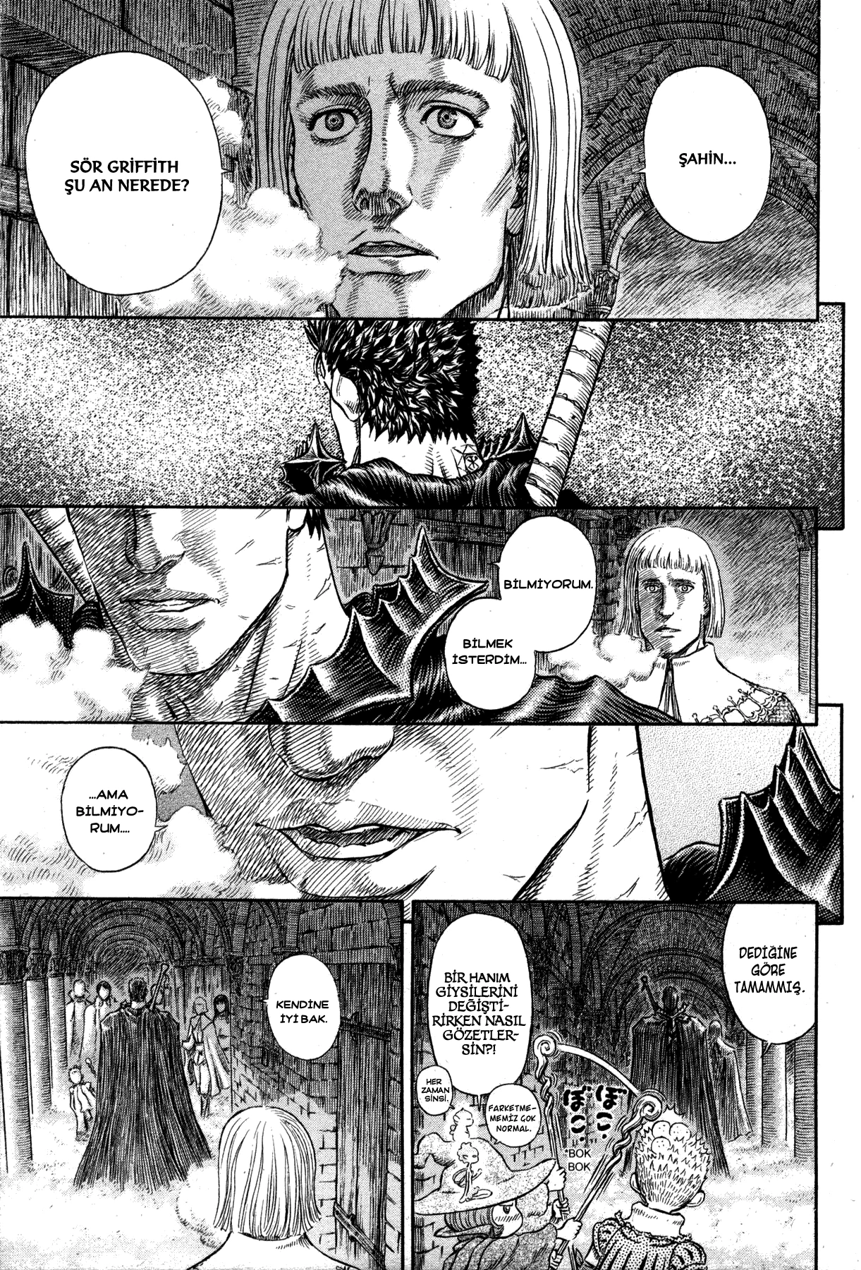 Read Berserk TR Manga Online