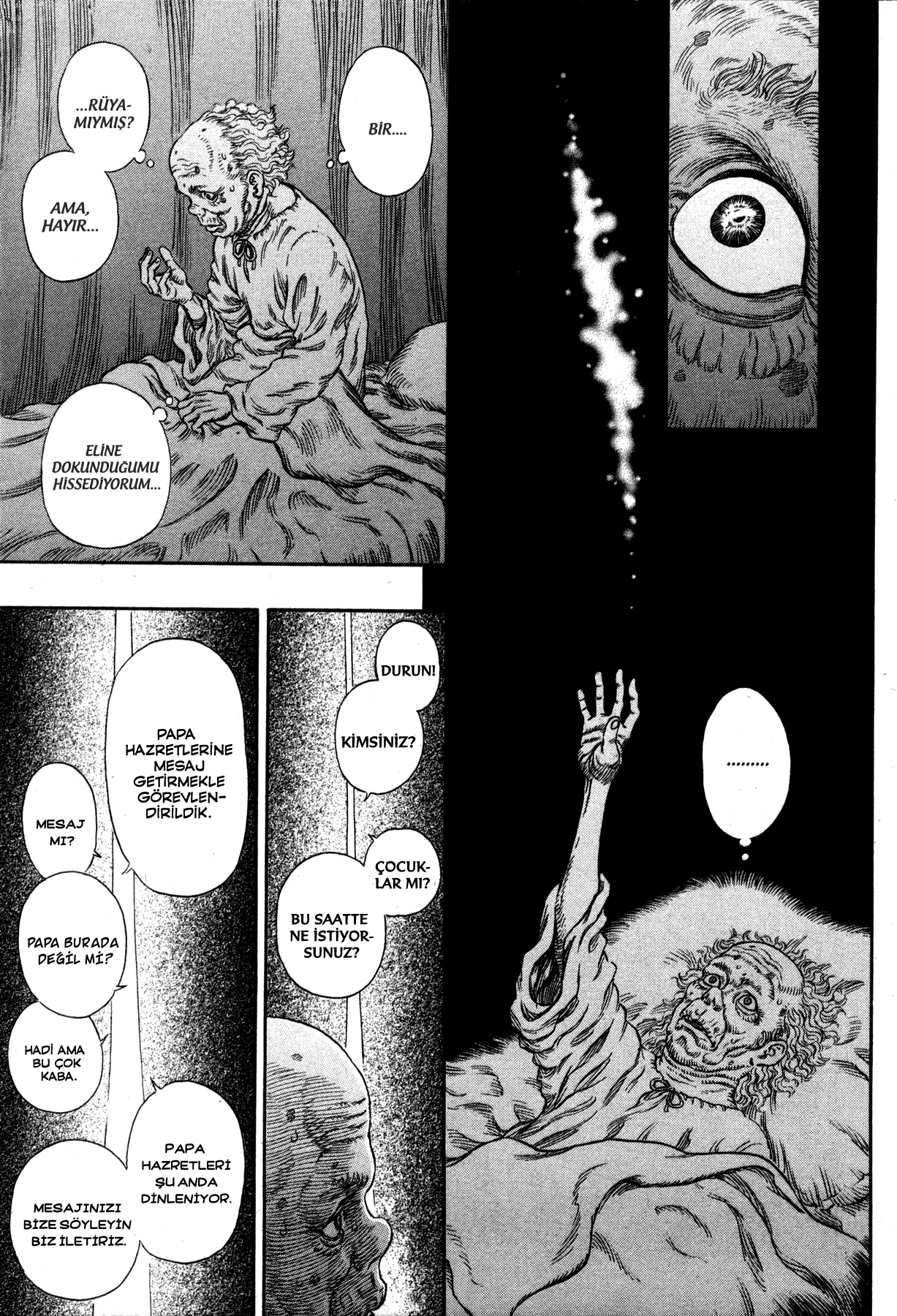 Read Berserk TR Manga Online