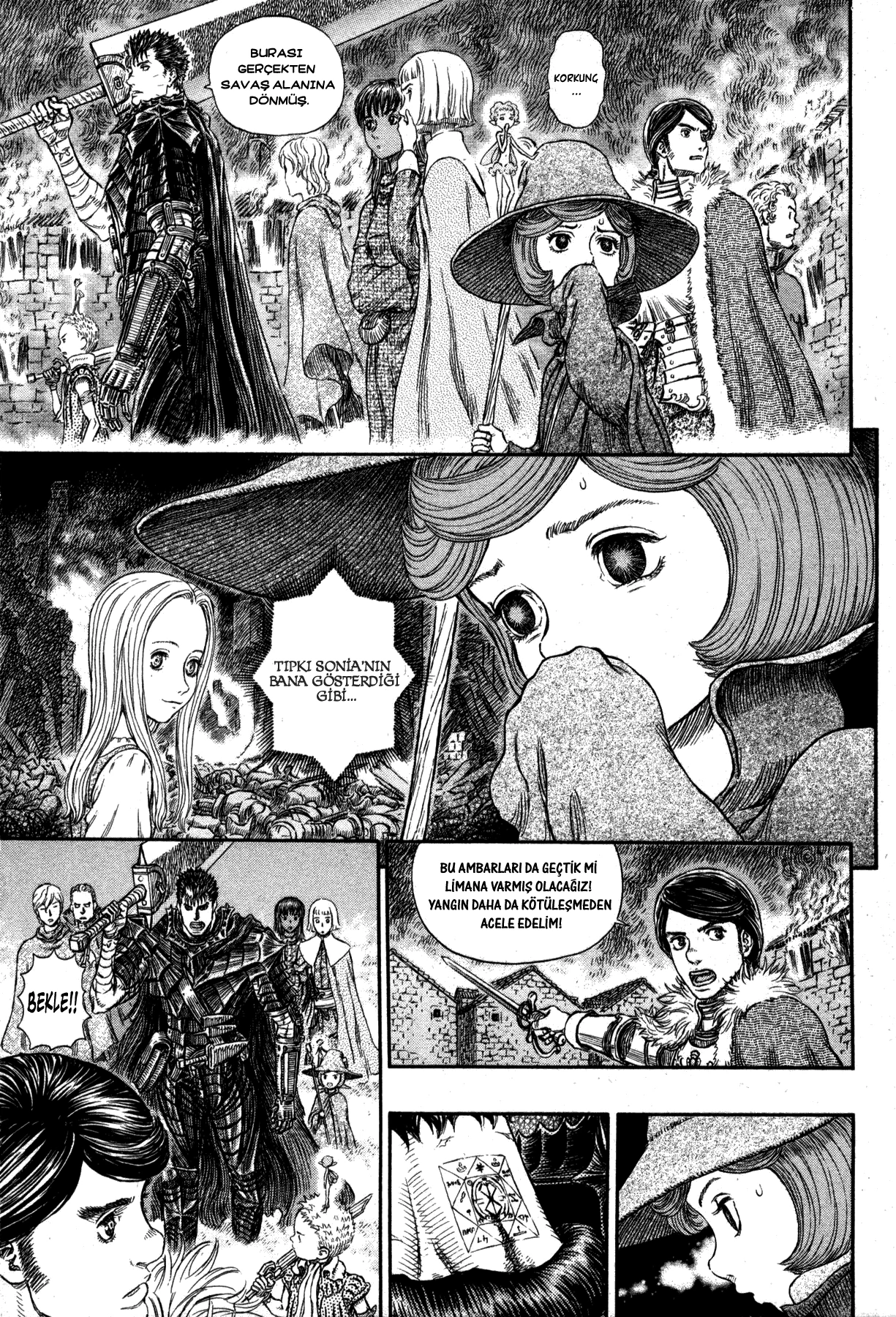 Read Berserk TR Manga Online