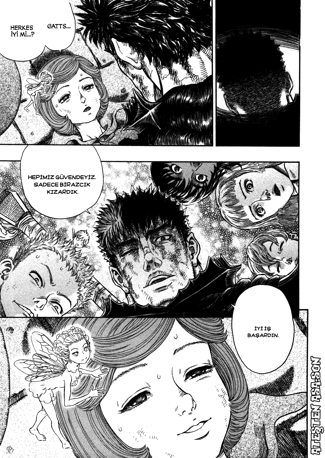 Read Berserk TR Manga Online