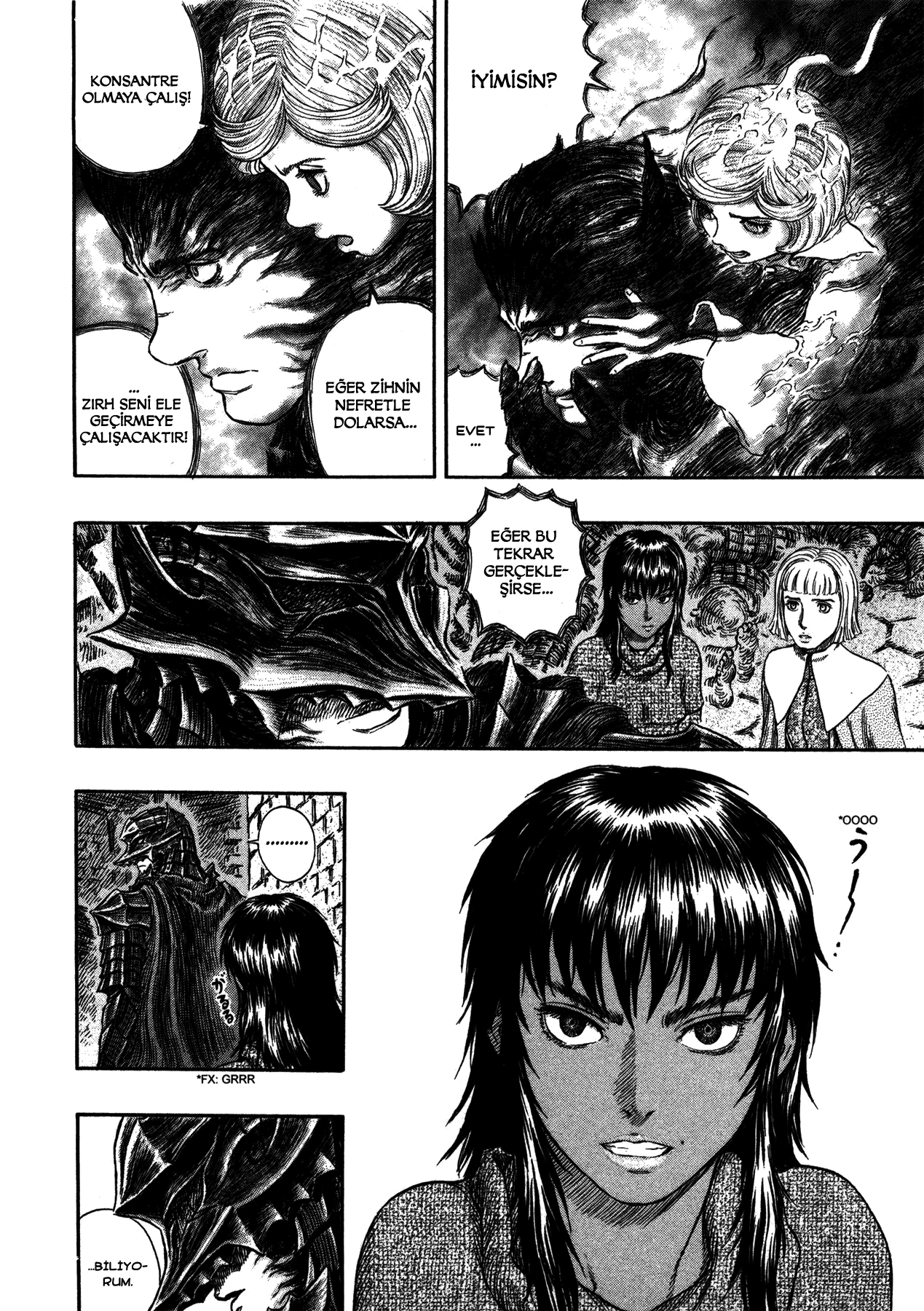 Read Berserk TR Manga Online
