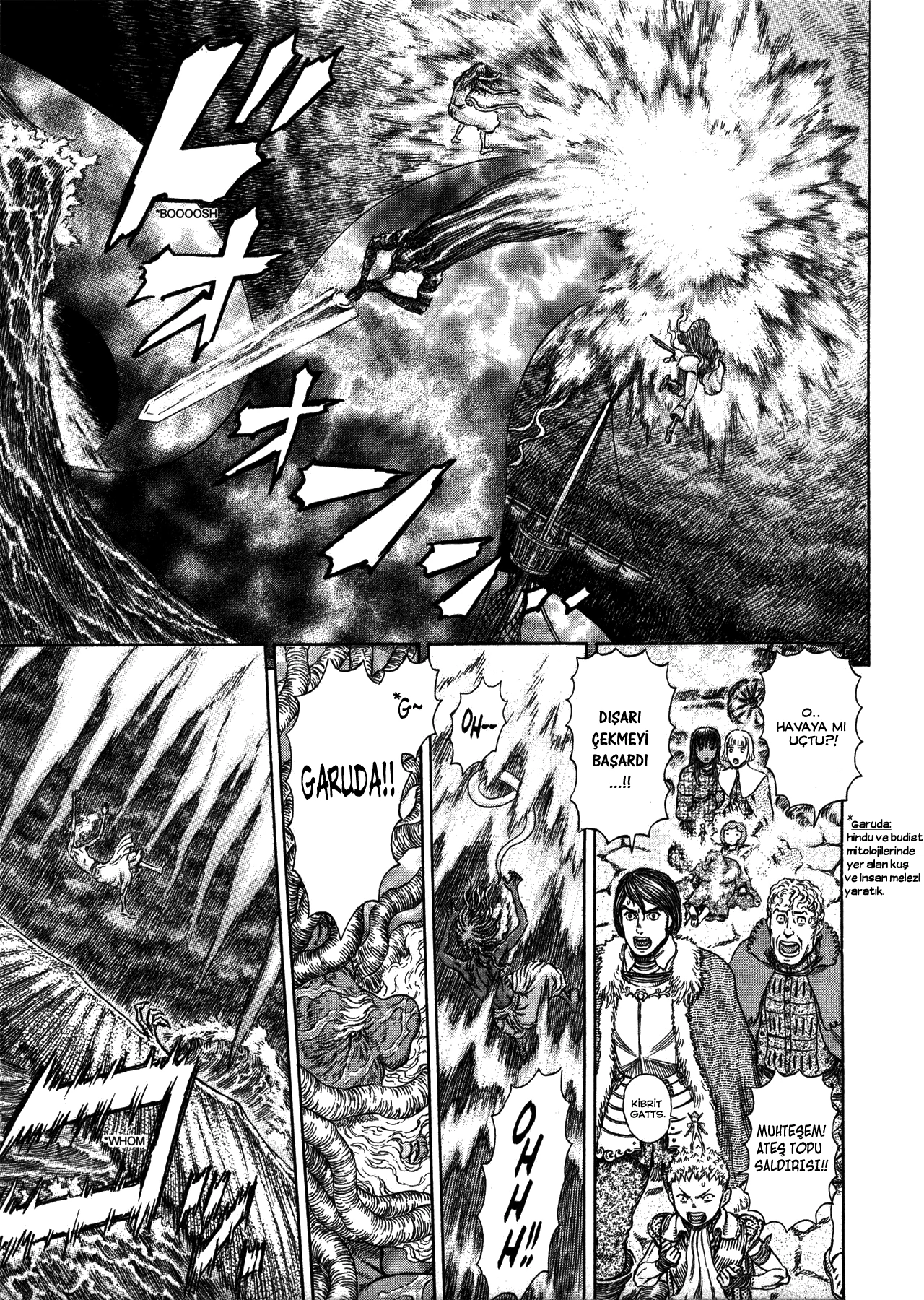 Read Berserk TR Manga Online