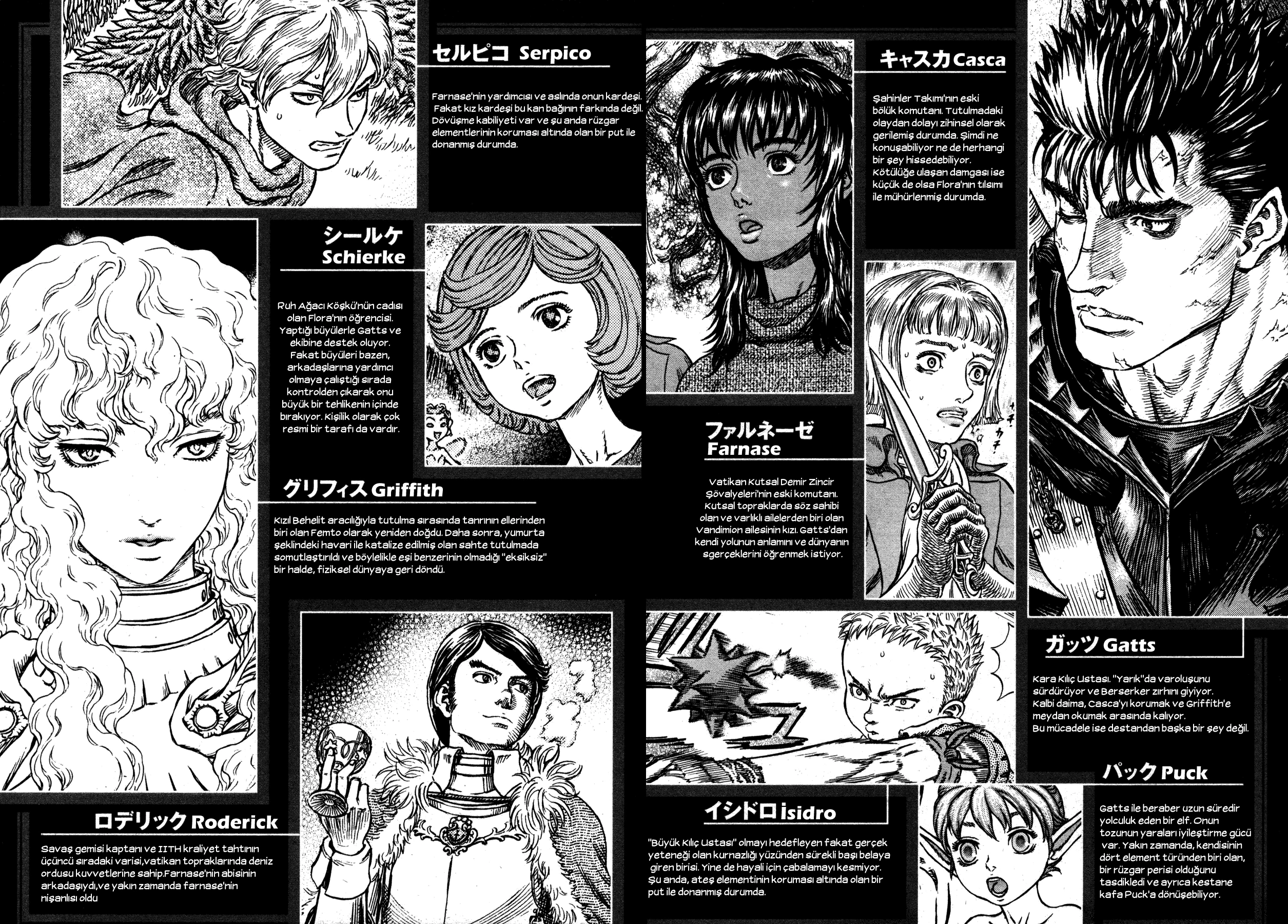 Read Berserk TR Manga Online