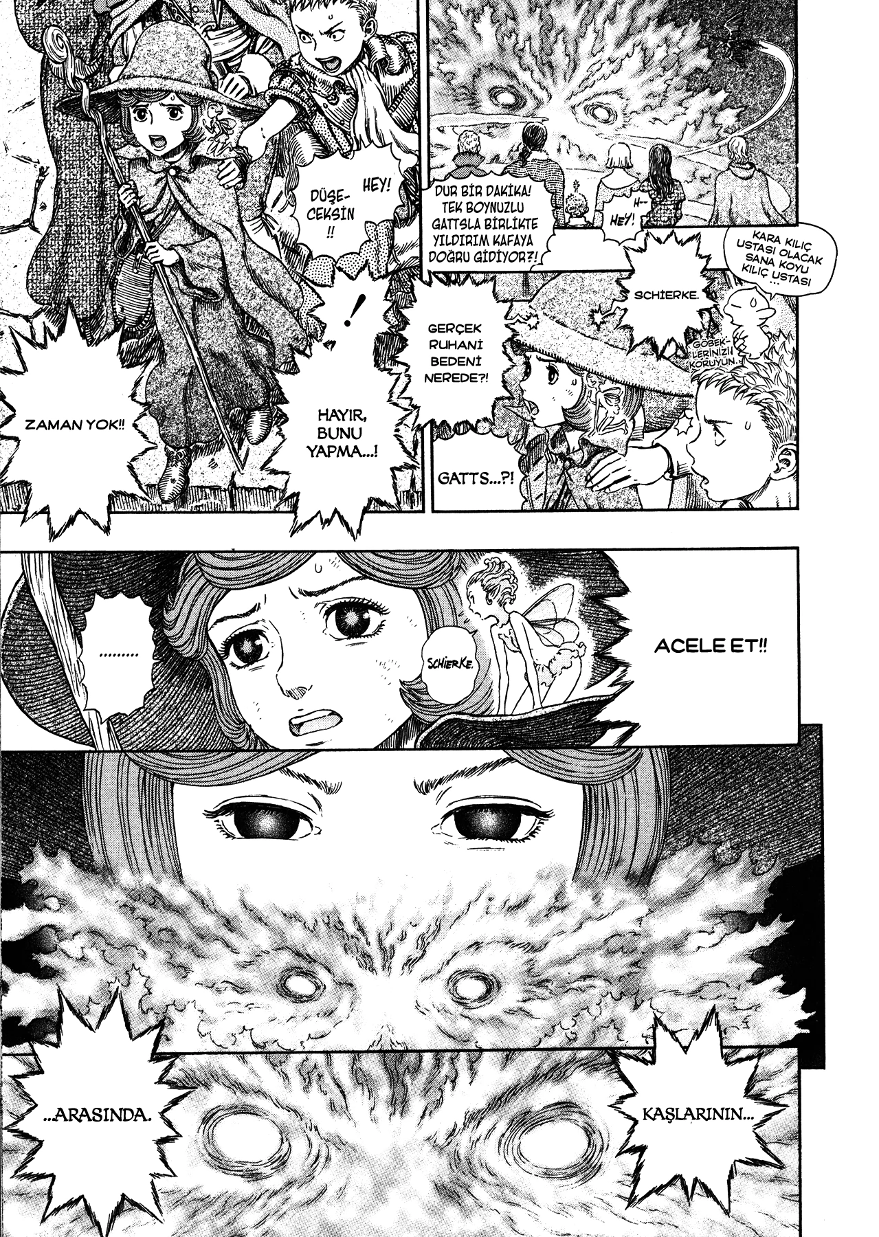 Read Berserk TR Manga Online