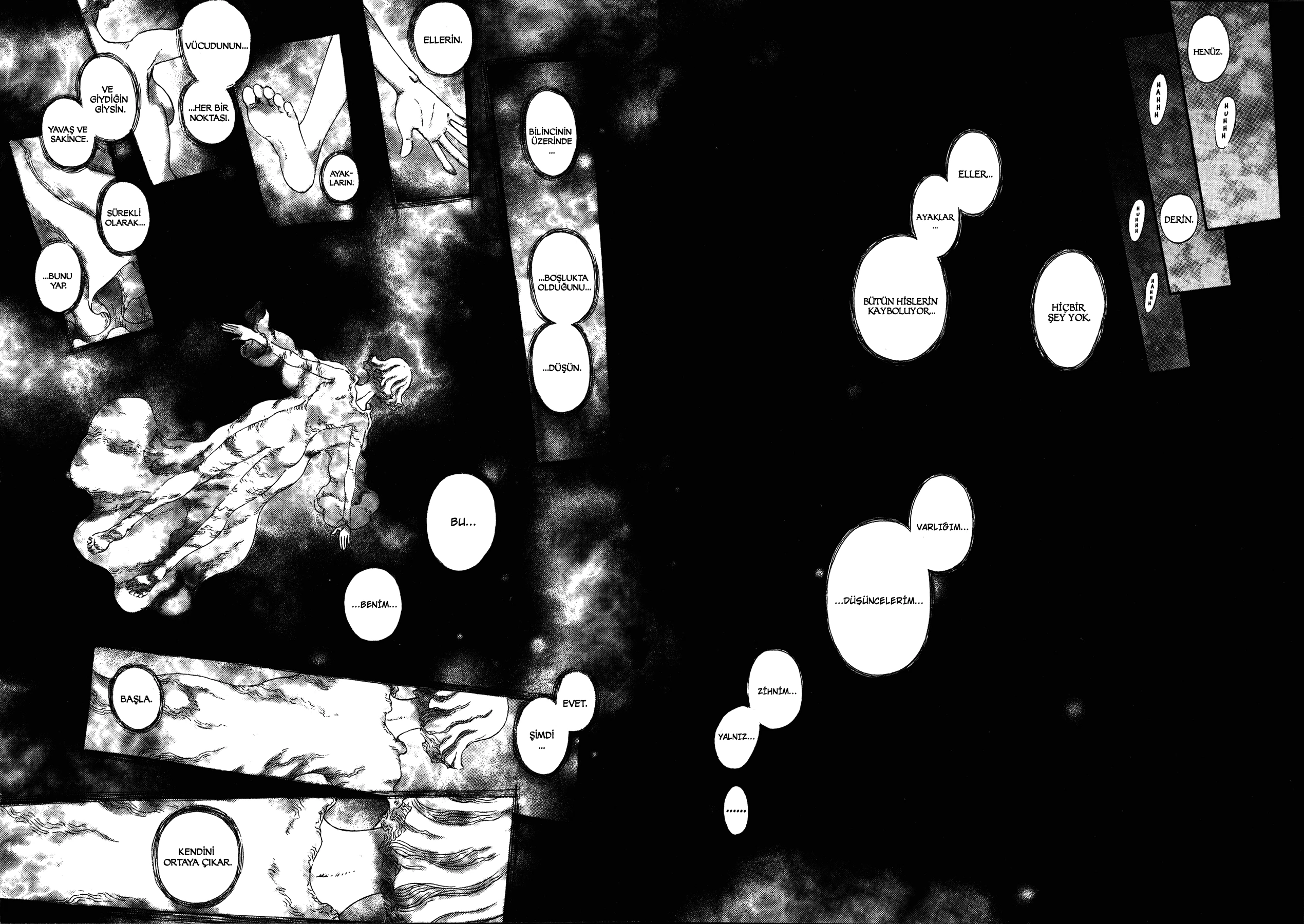 Read Berserk TR Manga Online