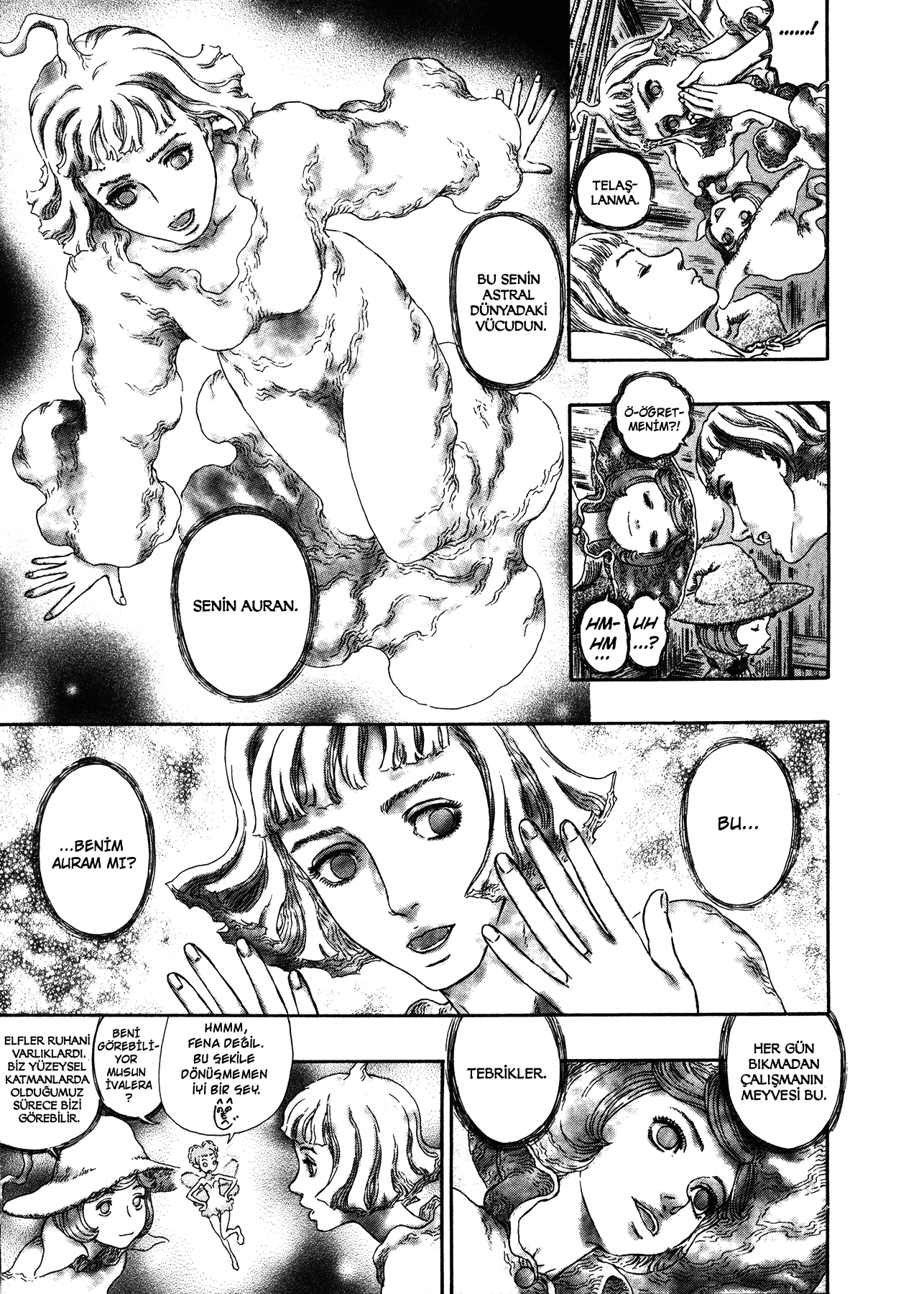 Read Berserk TR Manga Online