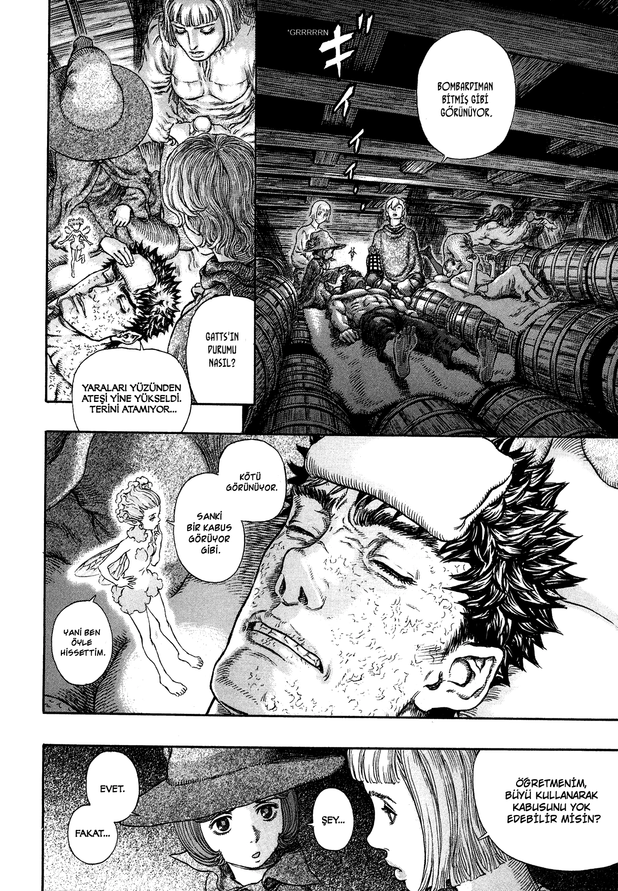 Read Berserk TR Manga Online