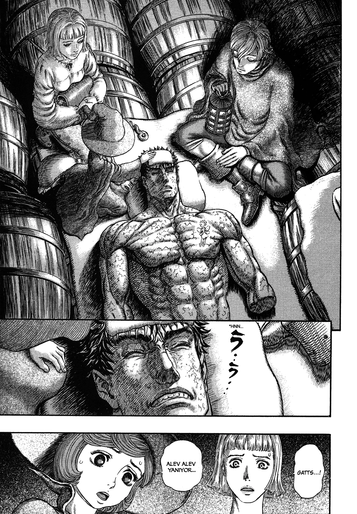 Read Berserk TR Manga Online