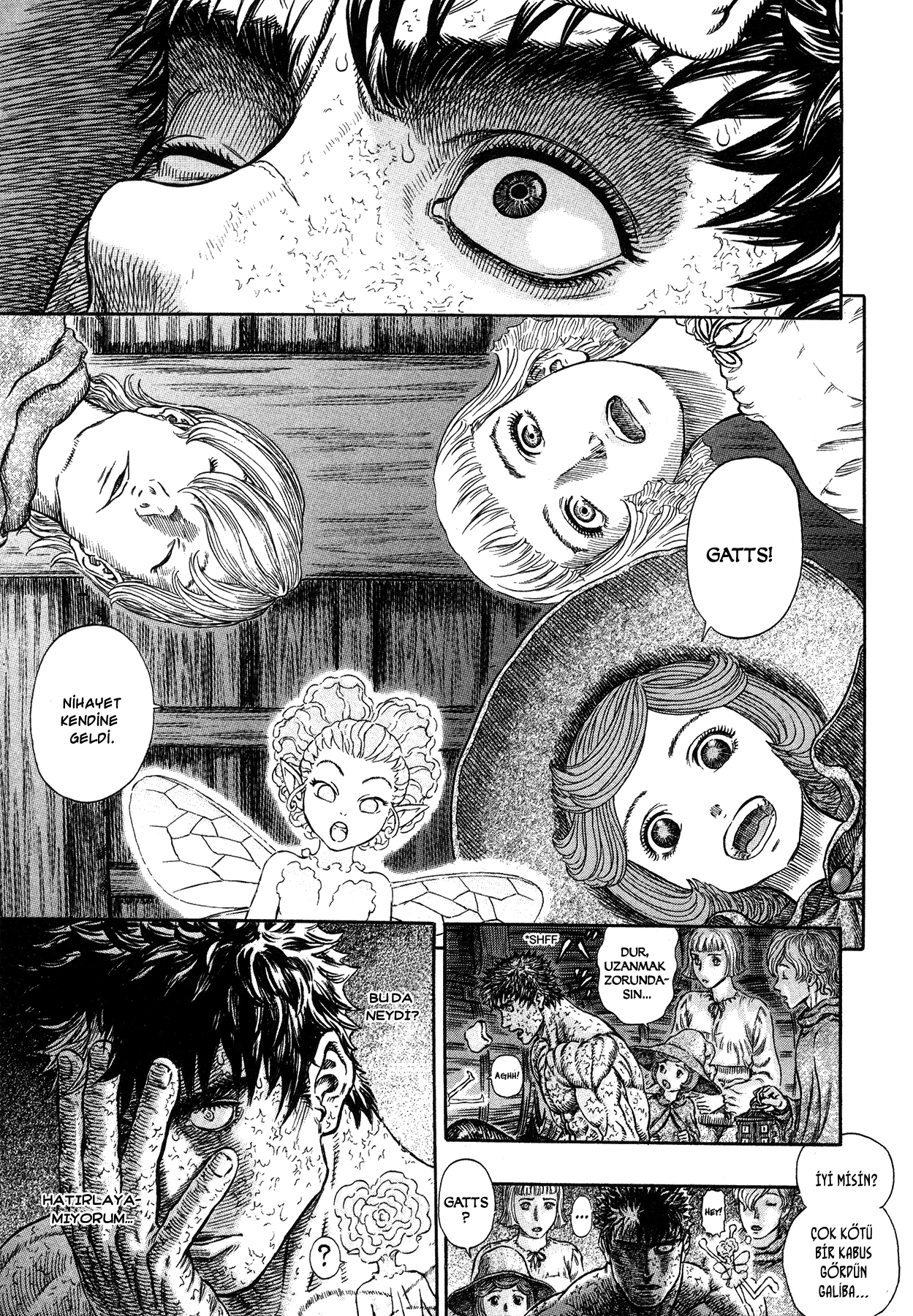 Read Berserk TR Manga Online