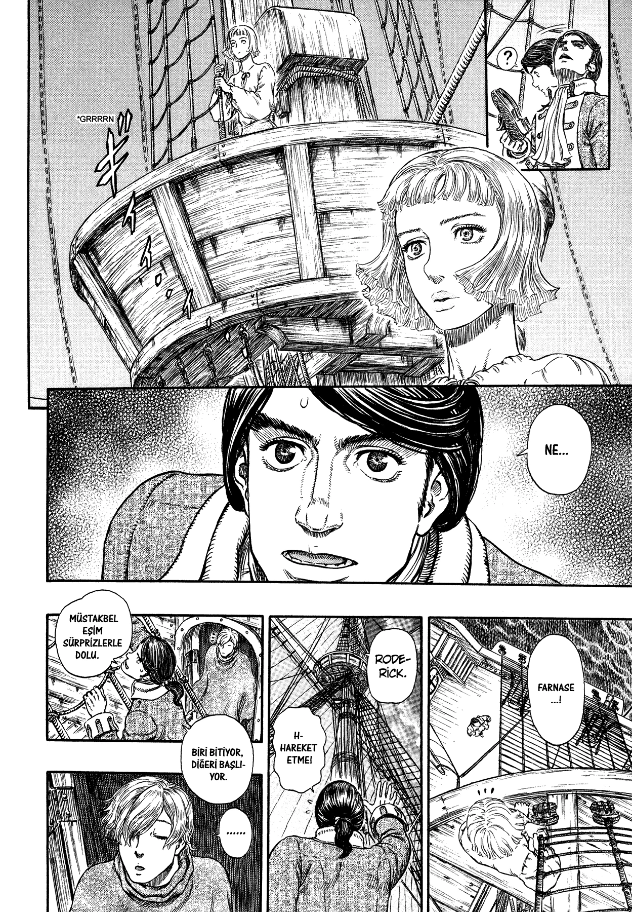 Read Berserk TR Manga Online
