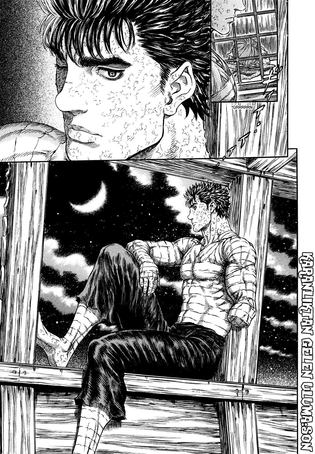 Read Berserk TR Manga Online