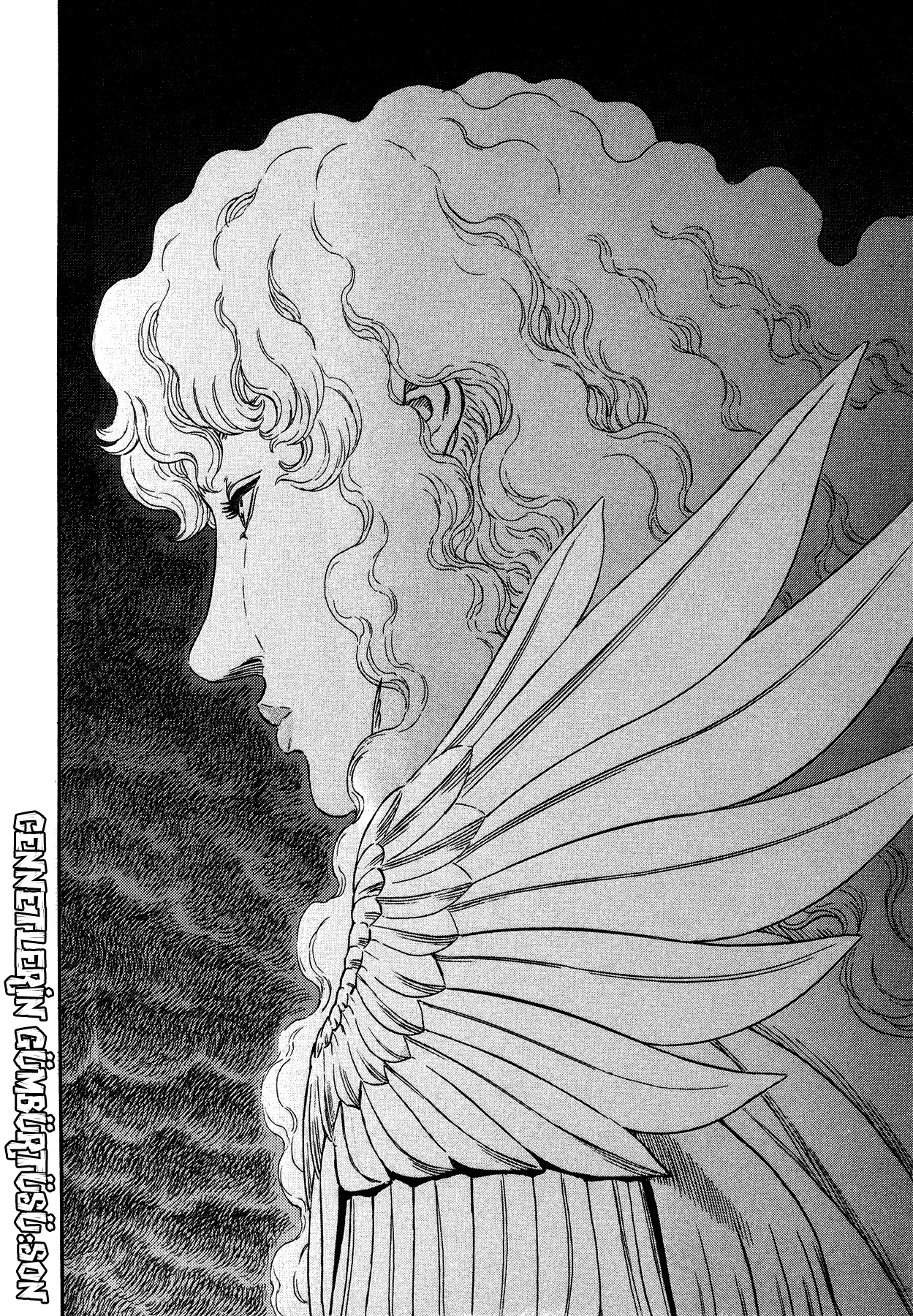 Read Berserk TR Manga Online