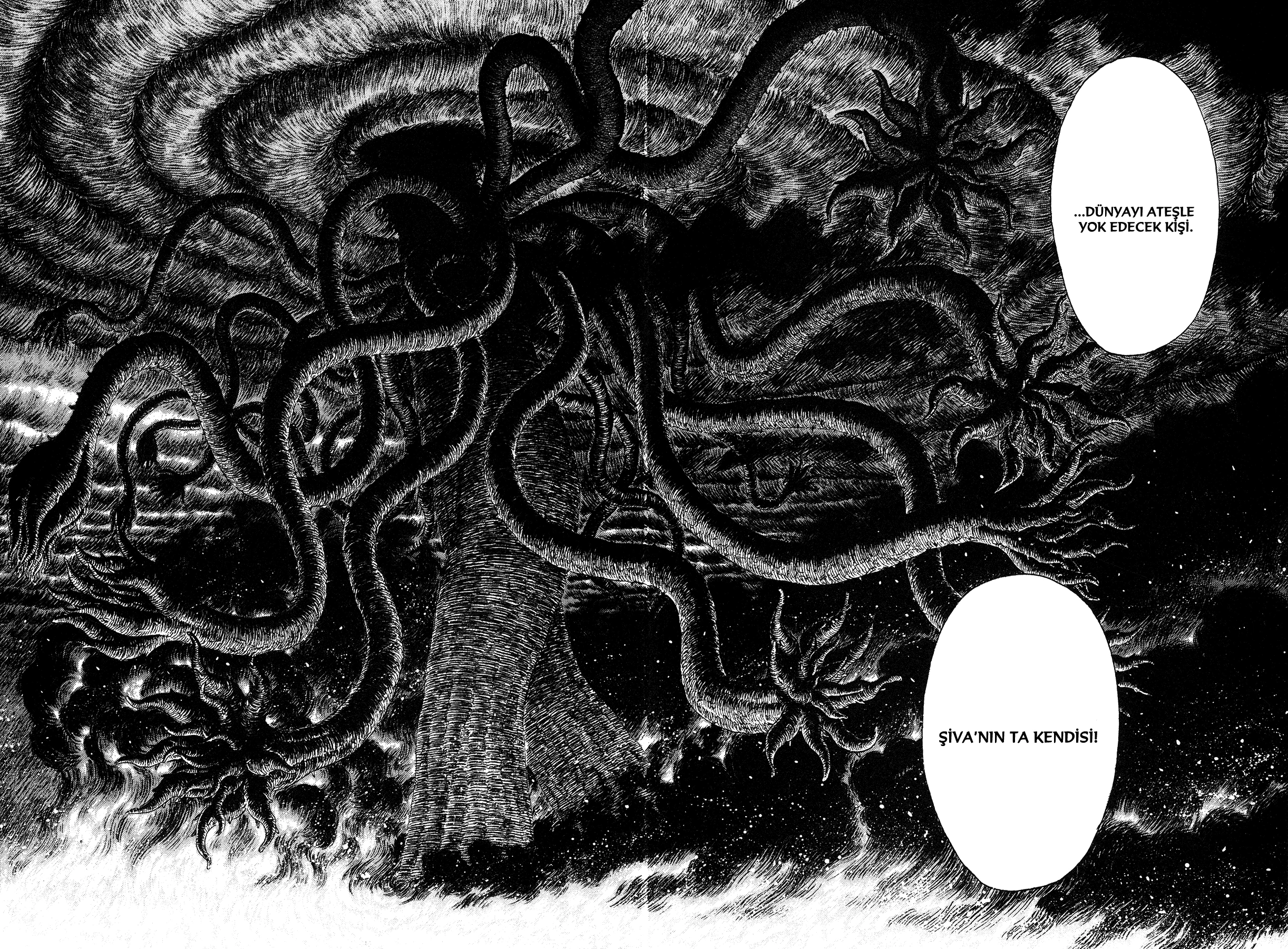 Read Berserk TR Manga Online