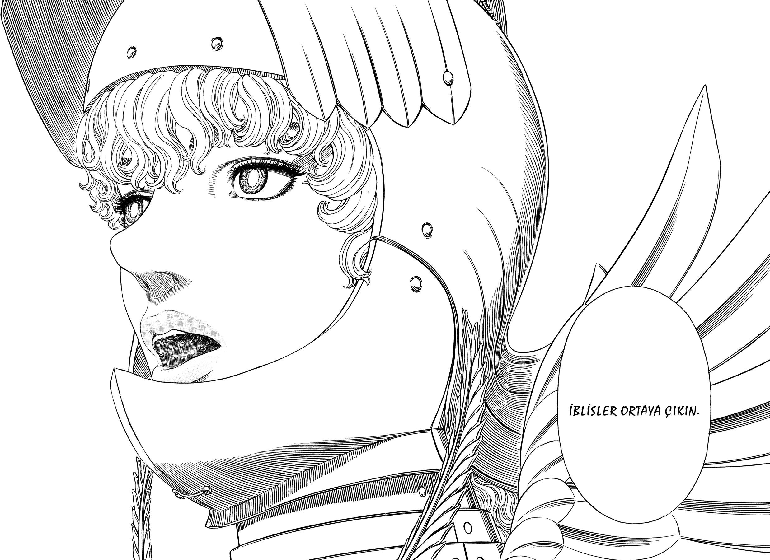 Read Berserk TR Manga Online
