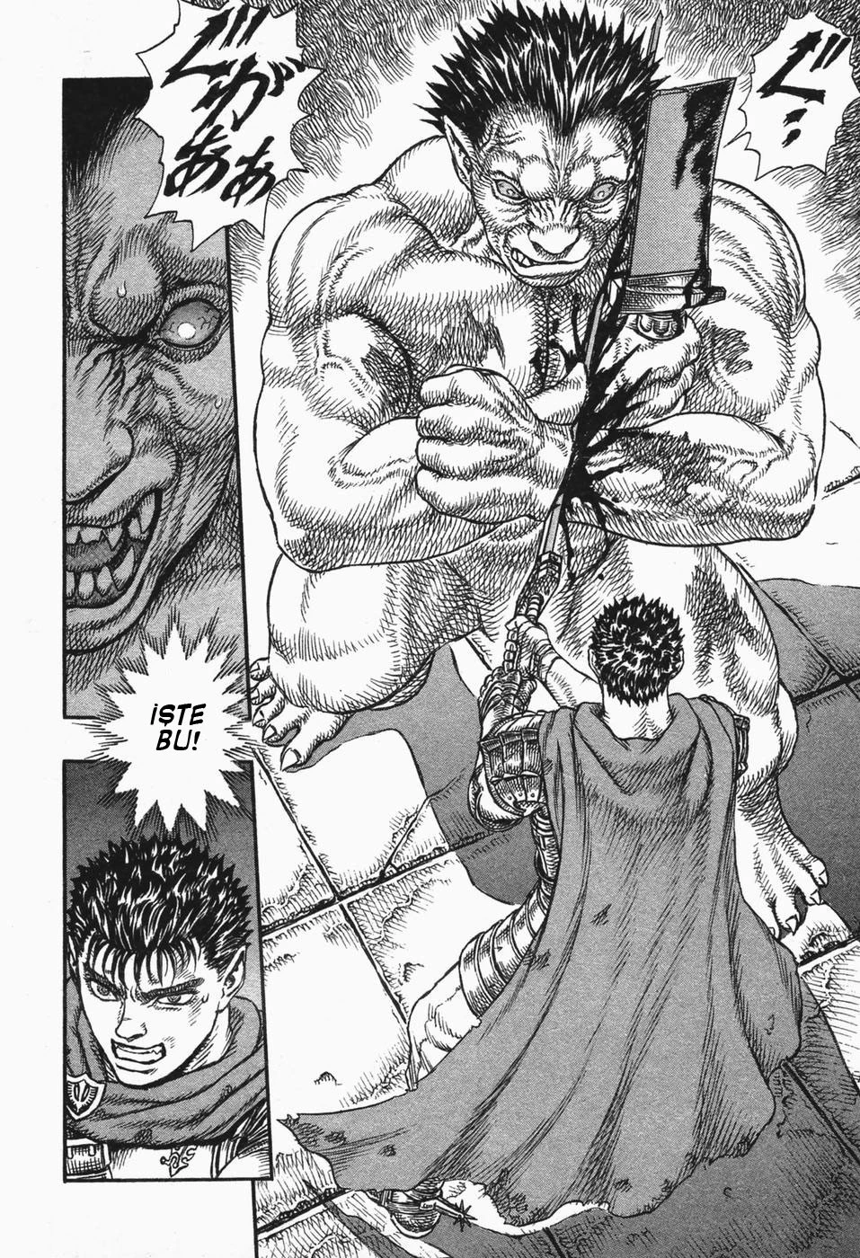 Read Berserk TR Manga Online