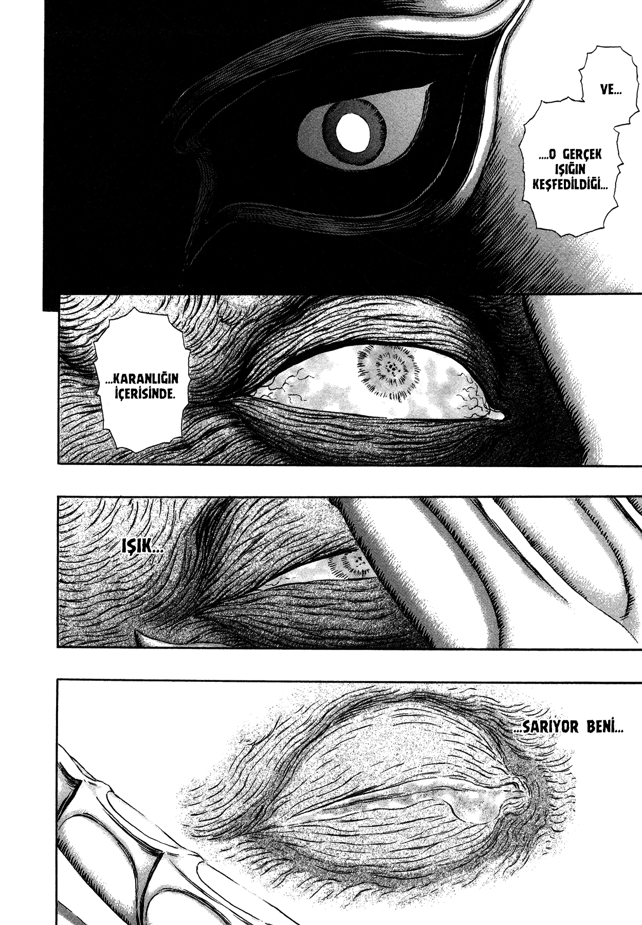 Read Berserk TR Manga Online