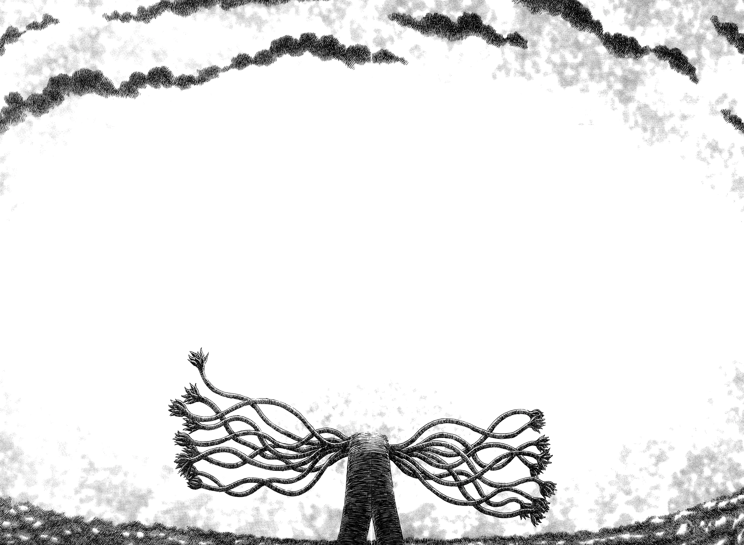 Read Berserk TR Manga Online