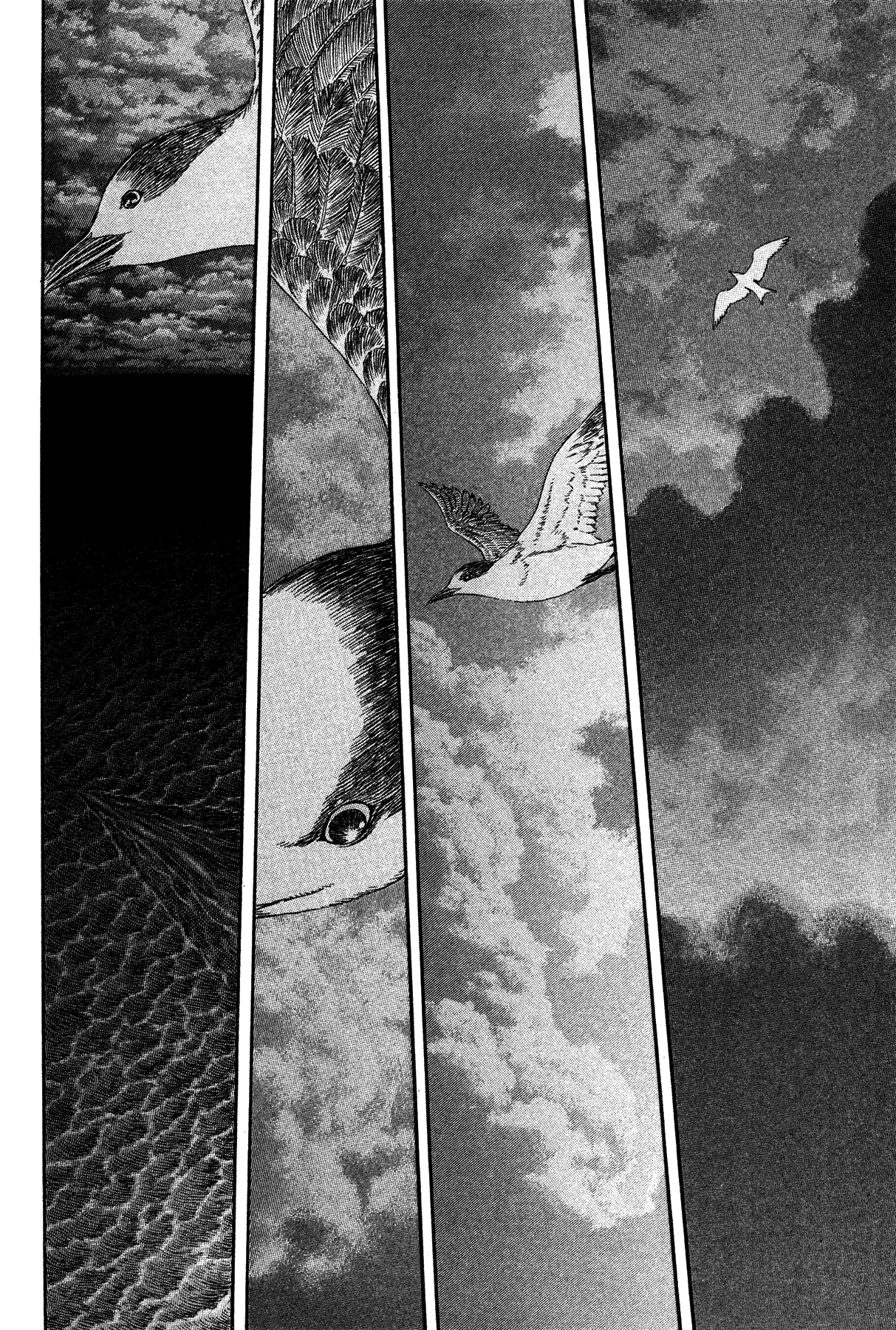 Read Berserk TR Manga Online