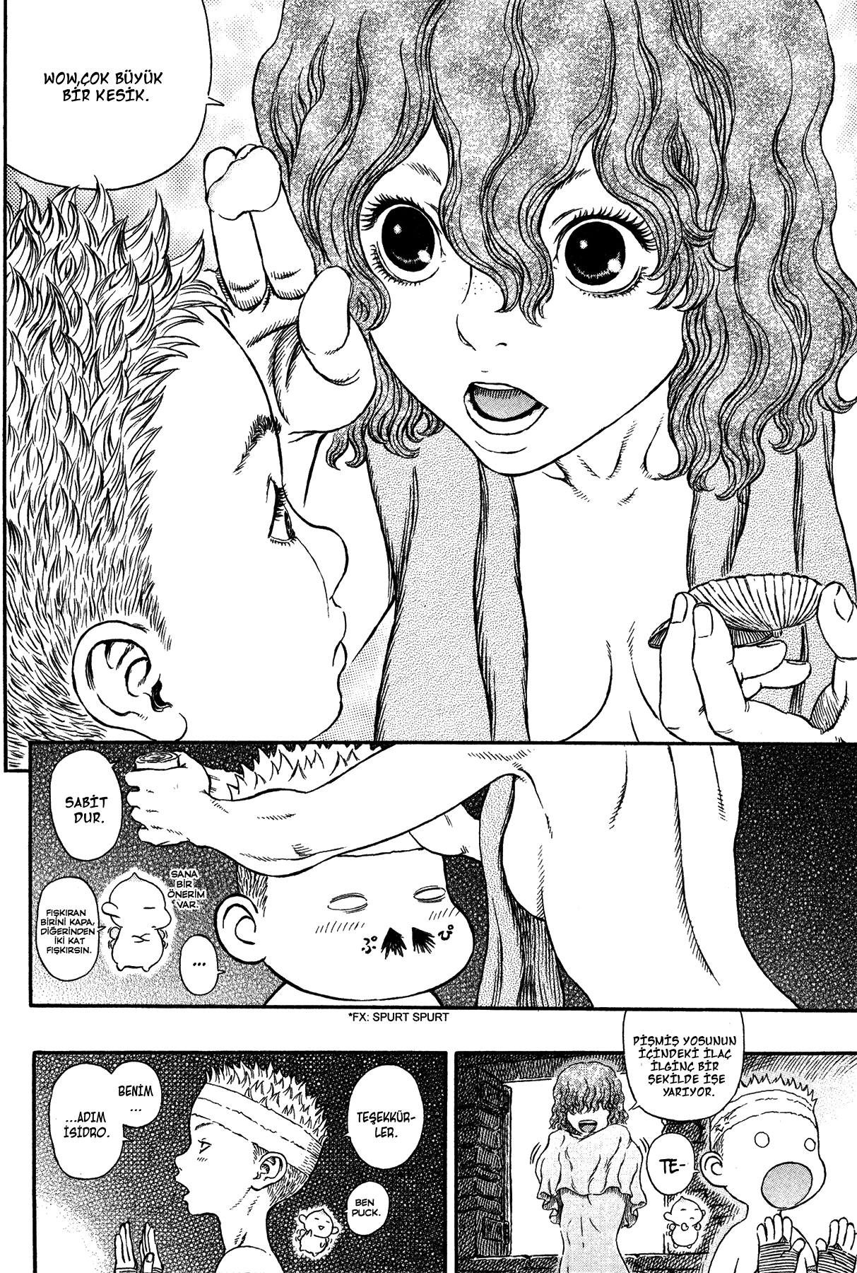 Read Berserk TR Manga Online