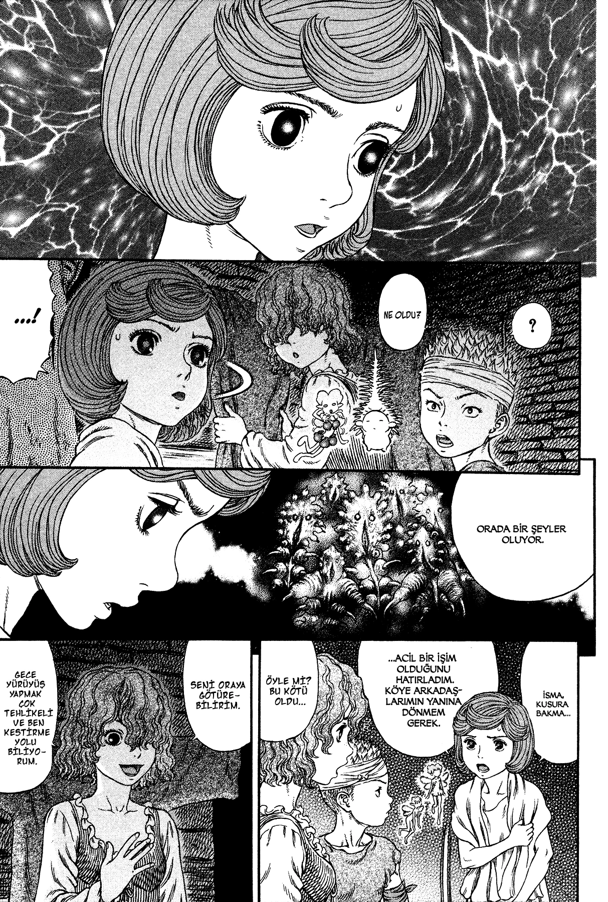 Read Berserk TR Manga Online