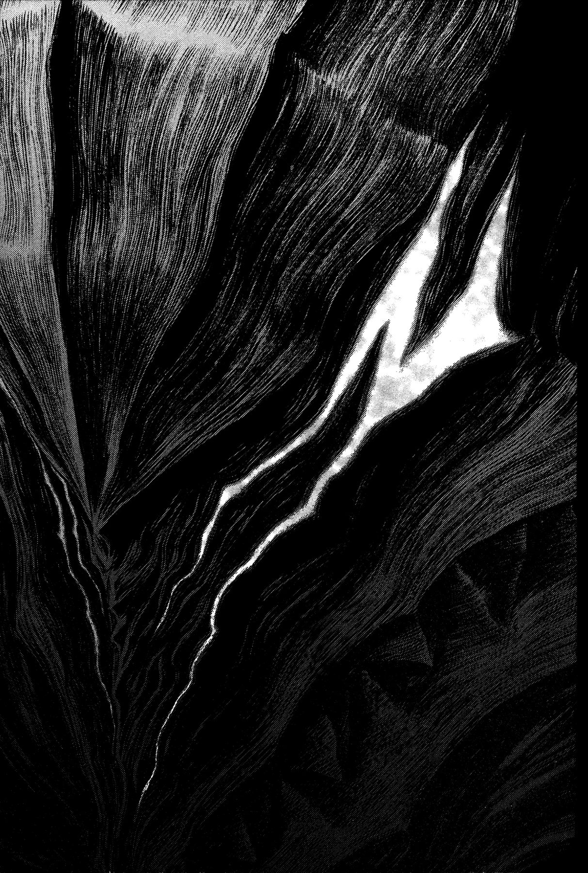 Read Berserk TR Manga Online