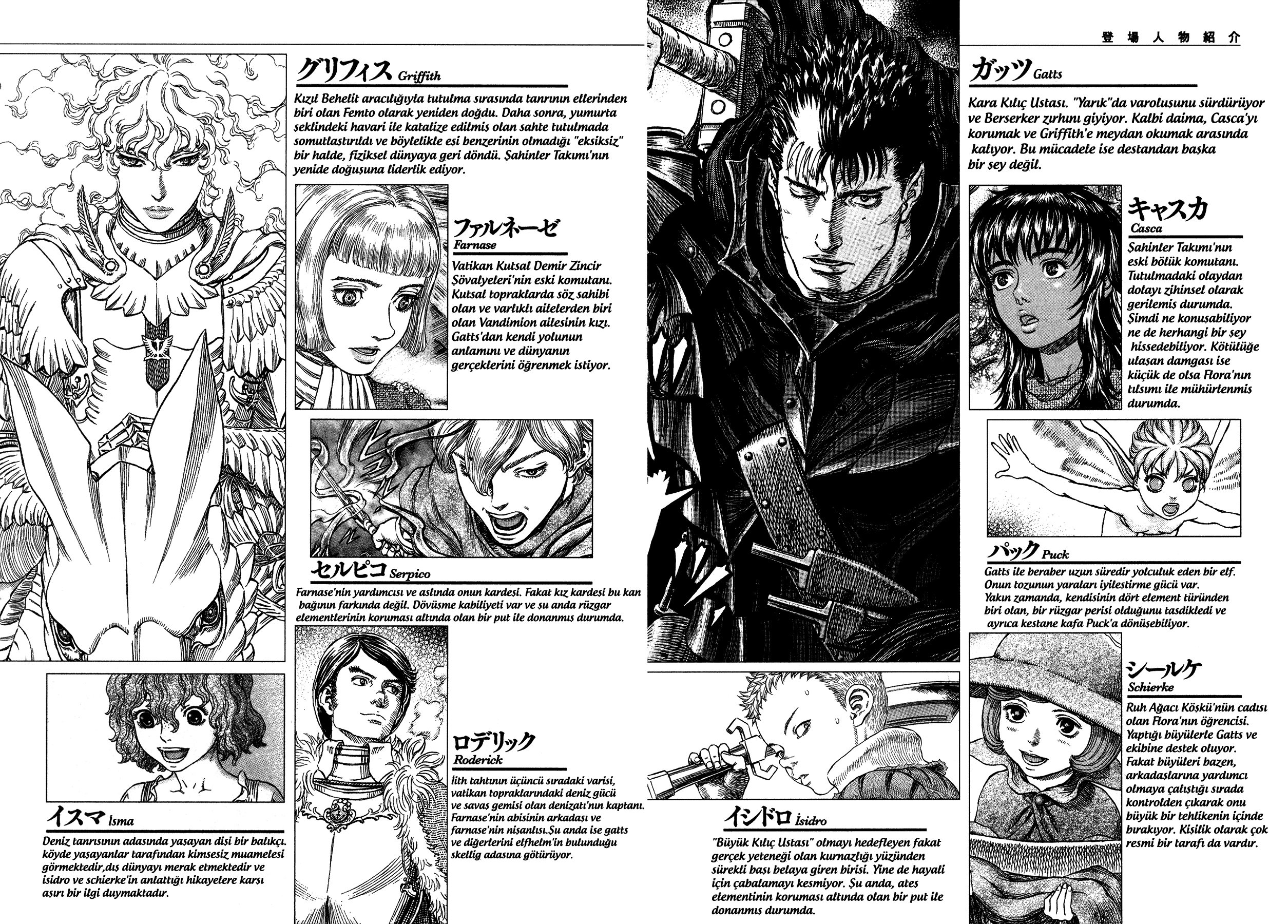 Read Berserk TR Manga Online