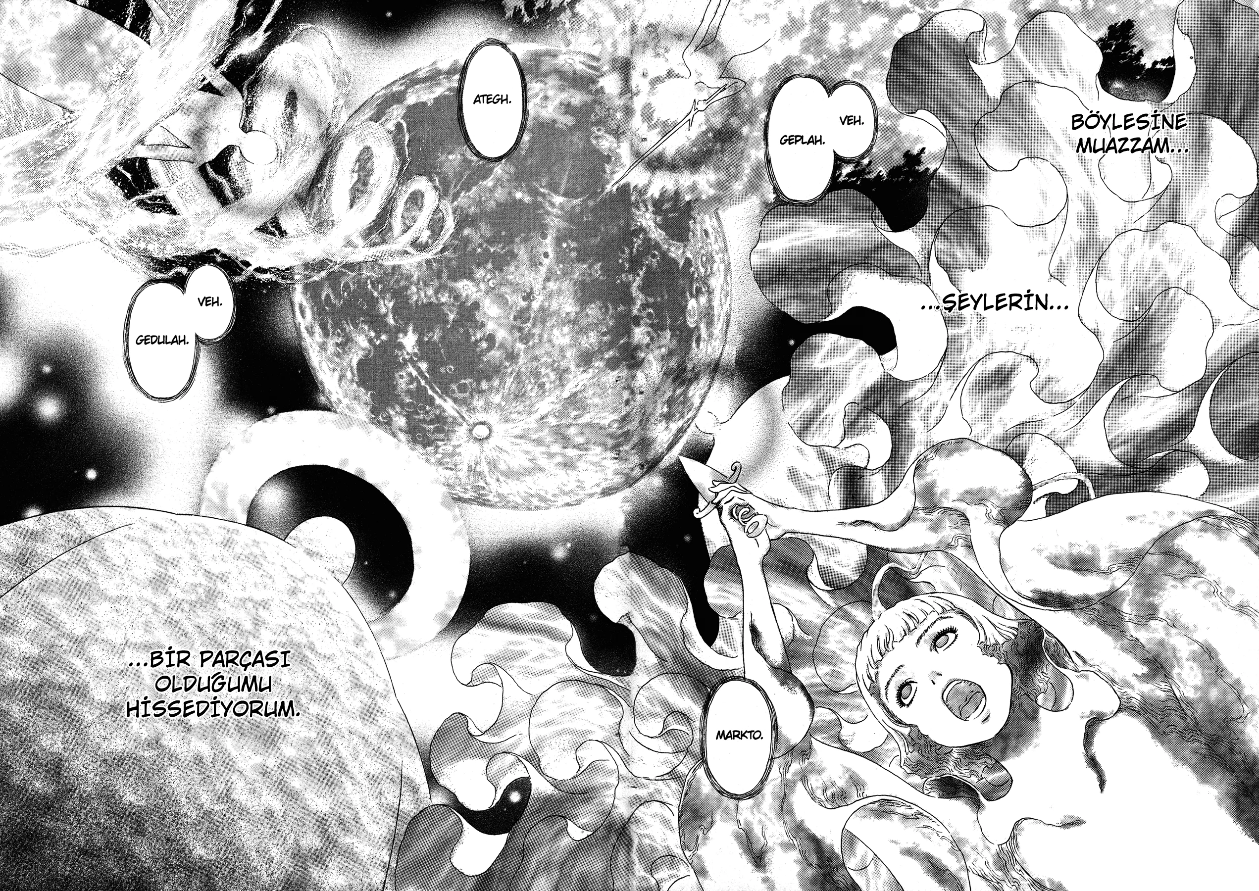 Read Berserk TR Manga Online