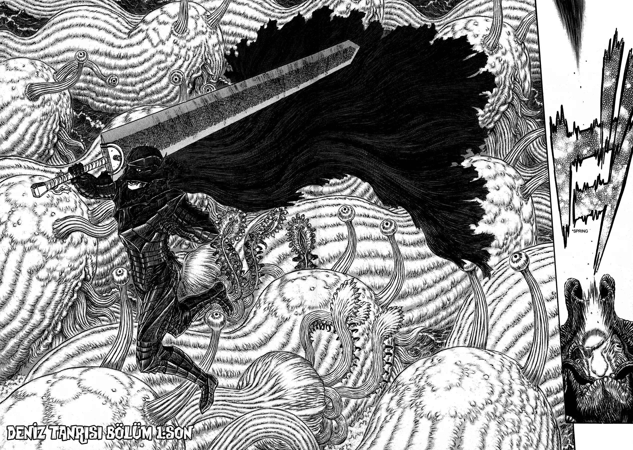 Read Berserk TR Manga Online