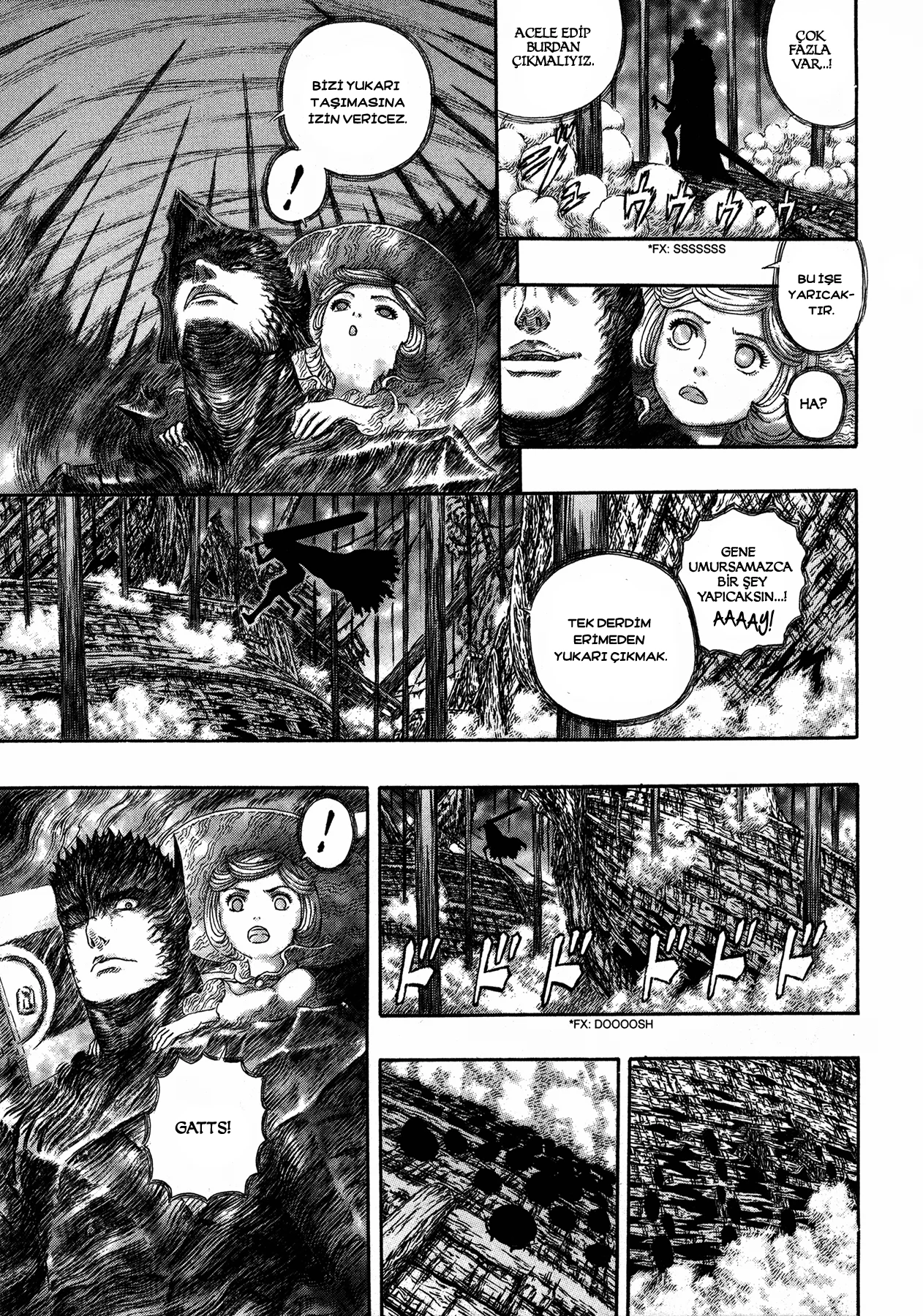 Read Berserk TR Manga Online