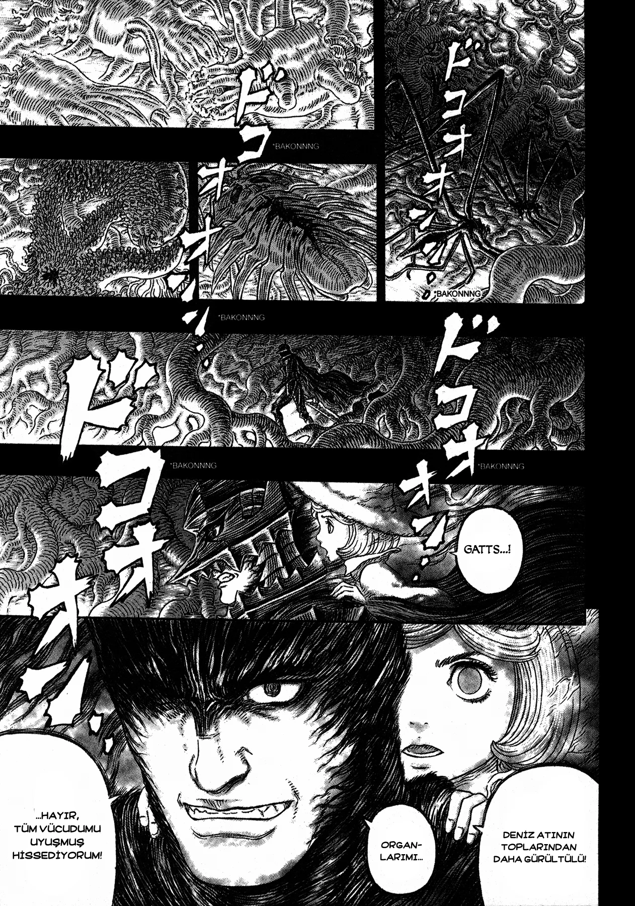 Read Berserk TR Manga Online