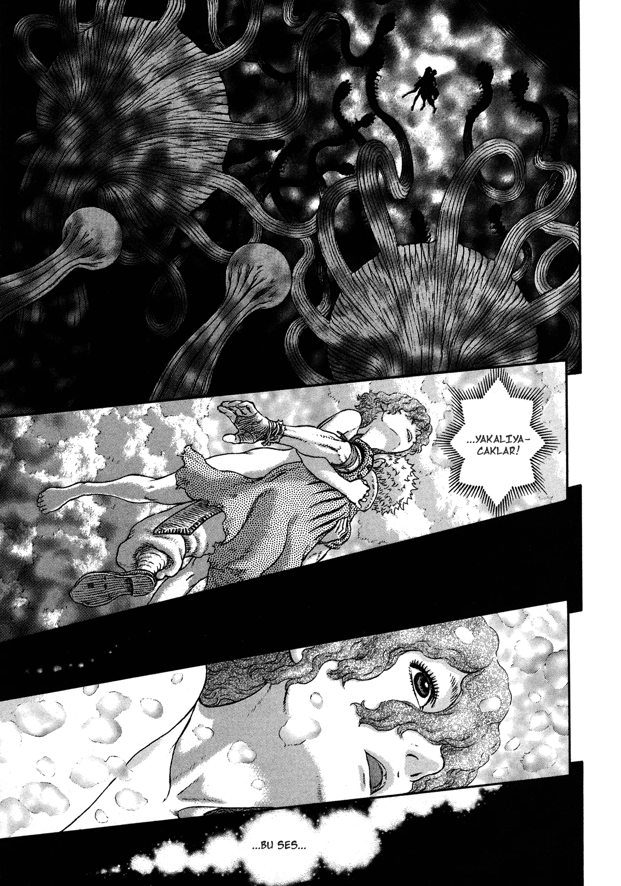 Read Berserk TR Manga Online