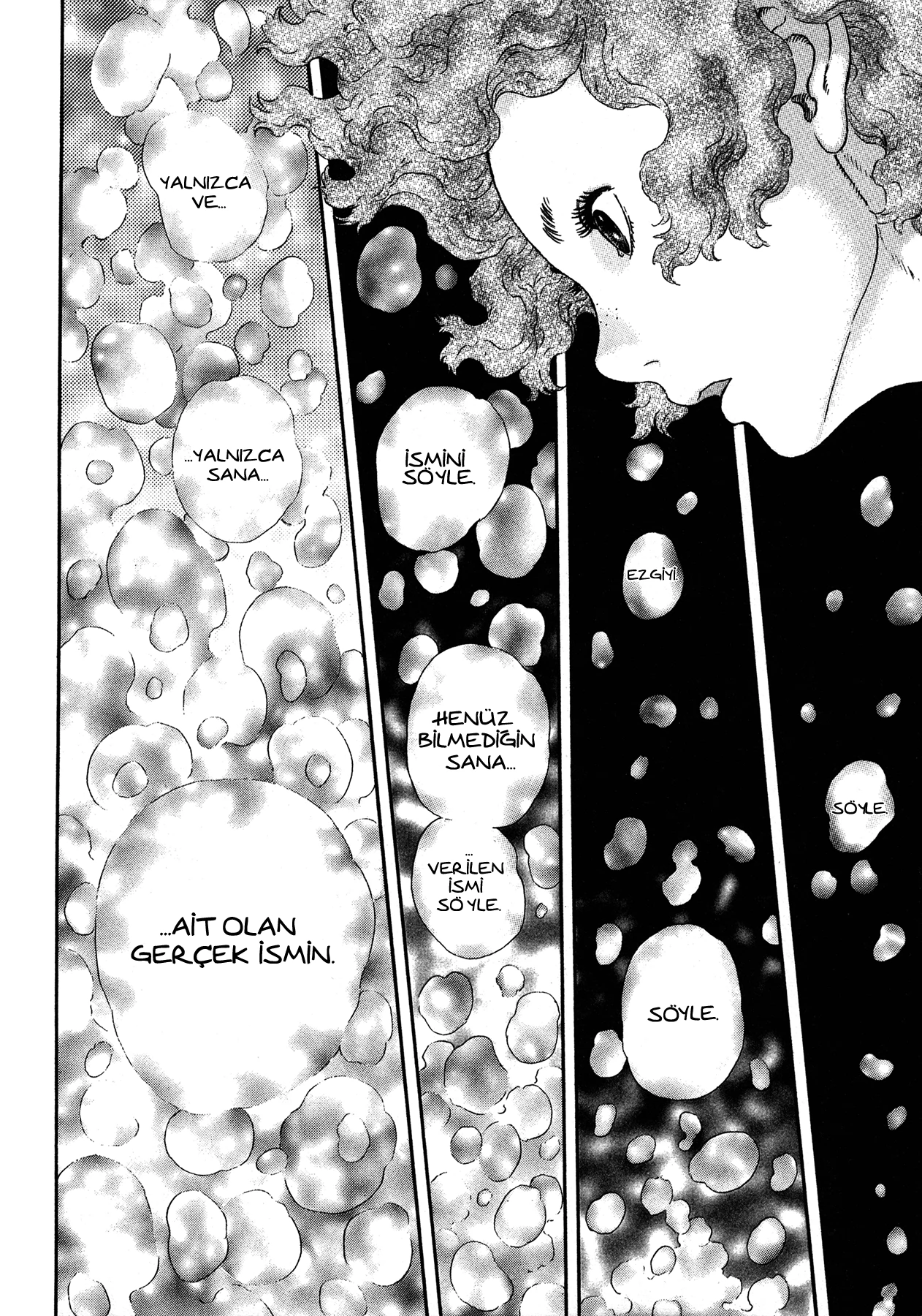 Read Berserk TR Manga Online