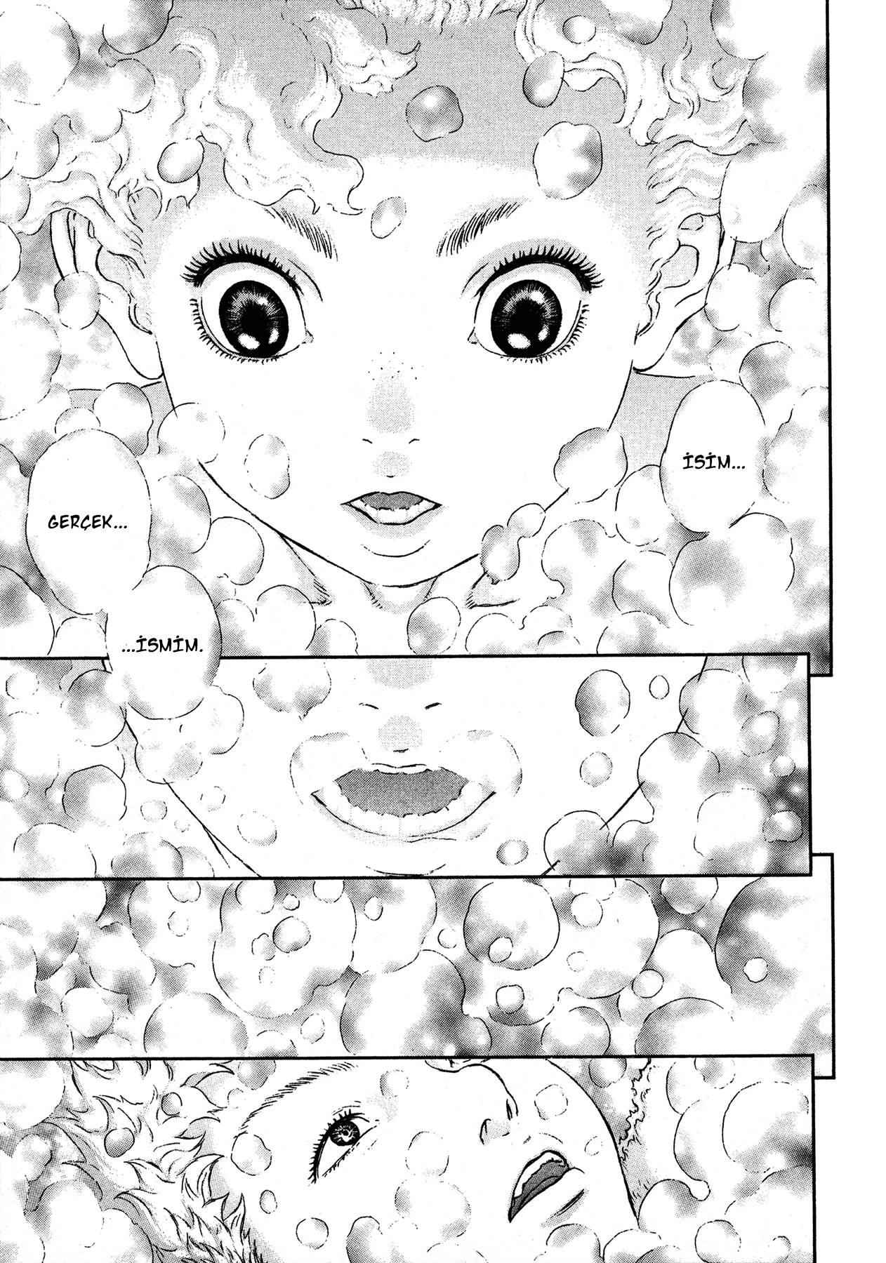 Read Berserk TR Manga Online