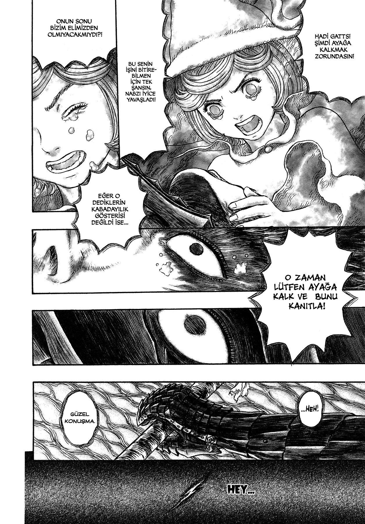 Read Berserk TR Manga Online