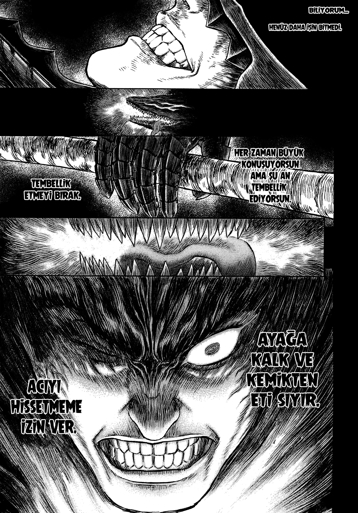Read Berserk TR Manga Online