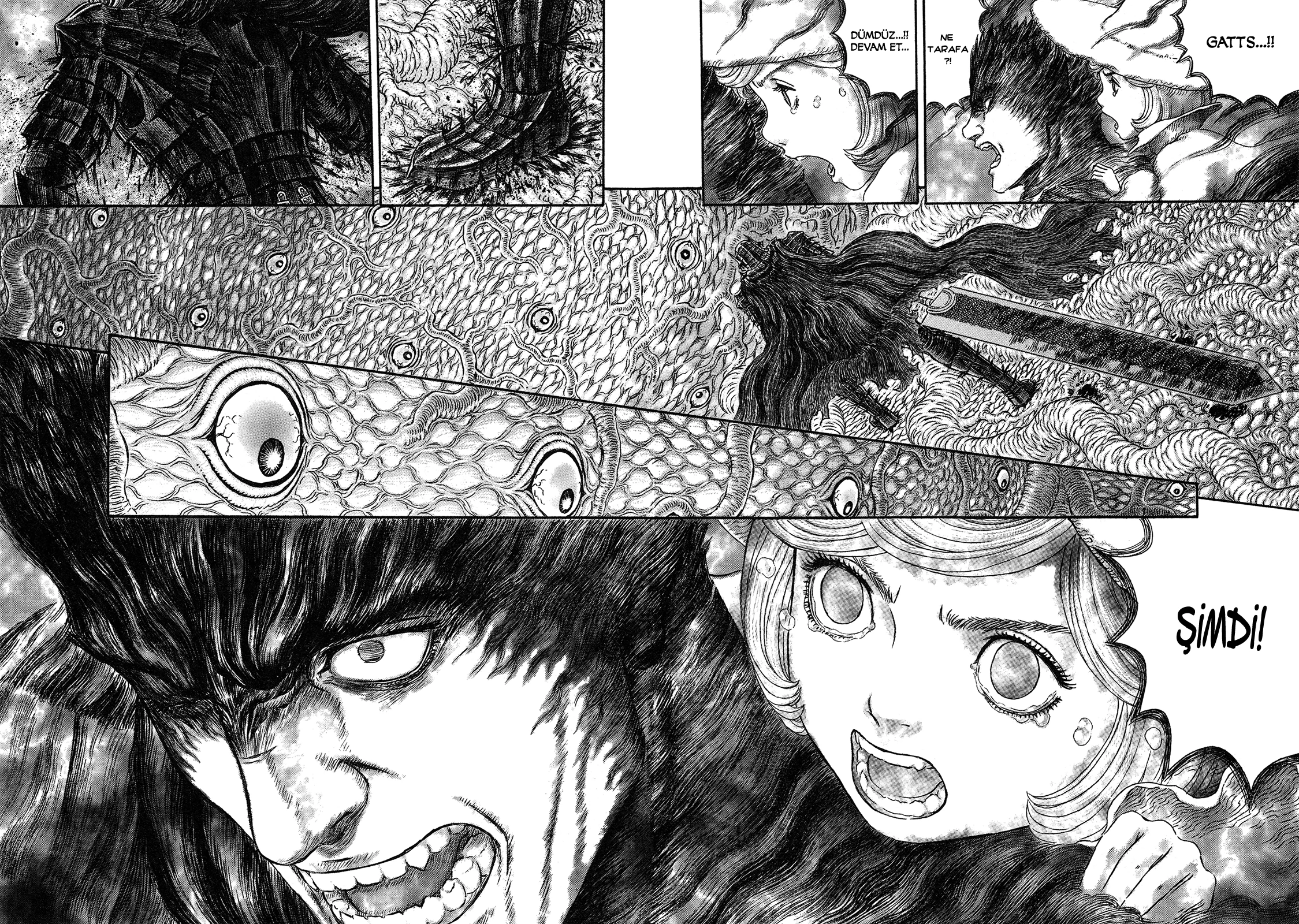 Read Berserk TR Manga Online