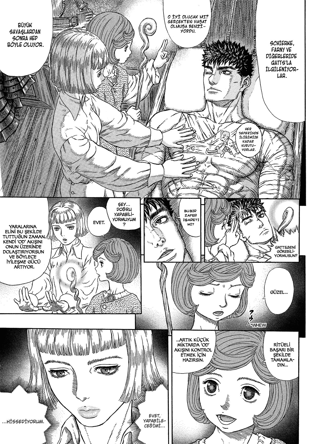 Read Berserk TR Manga Online