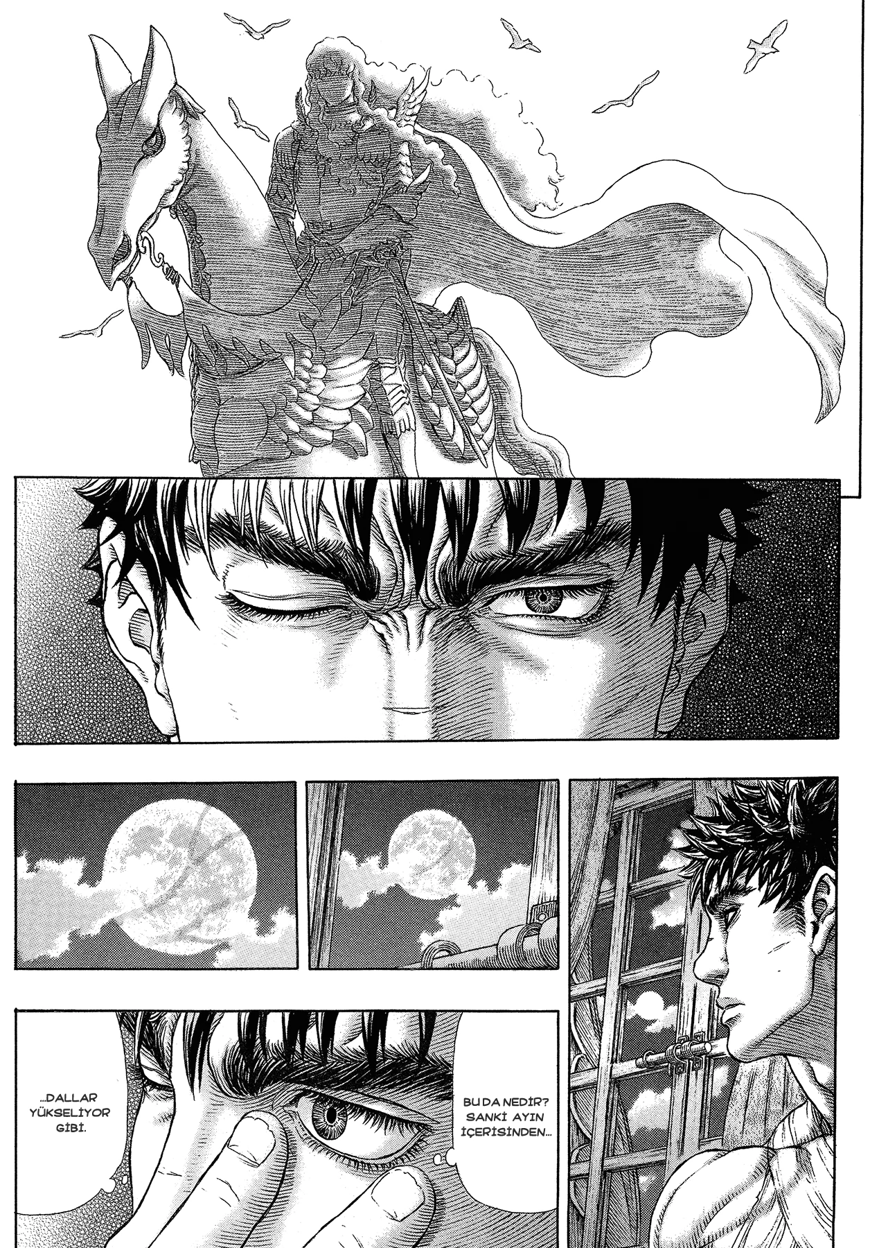 Read Berserk TR Manga Online