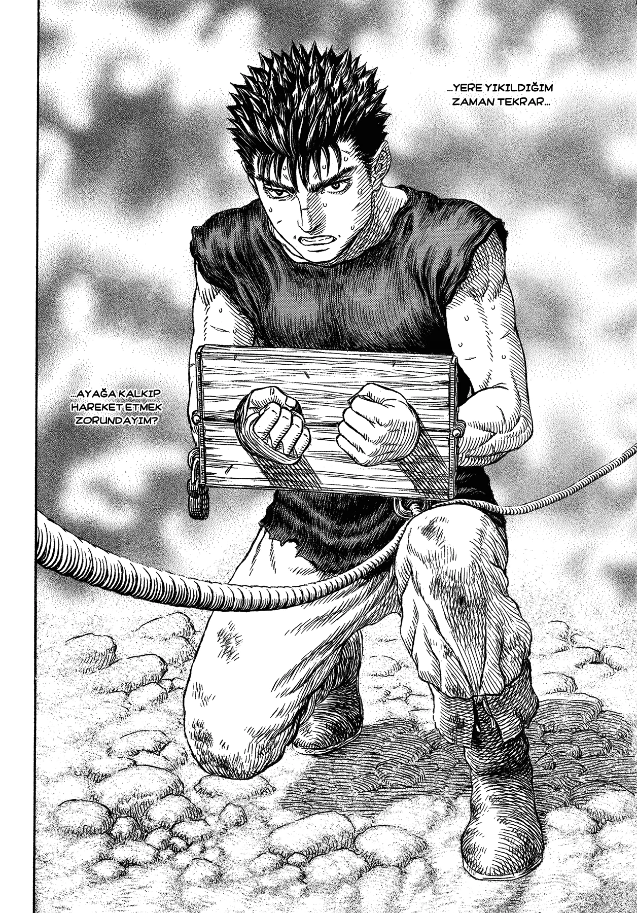 Read Berserk TR Manga Online