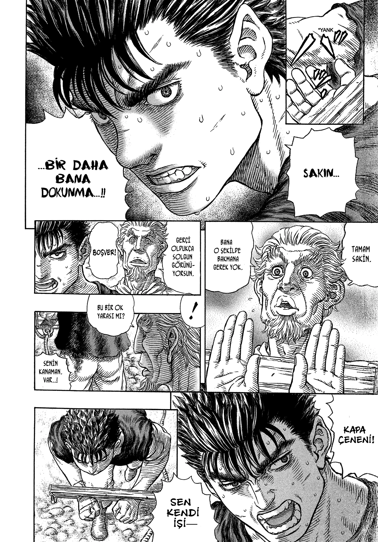 Read Berserk TR Manga Online