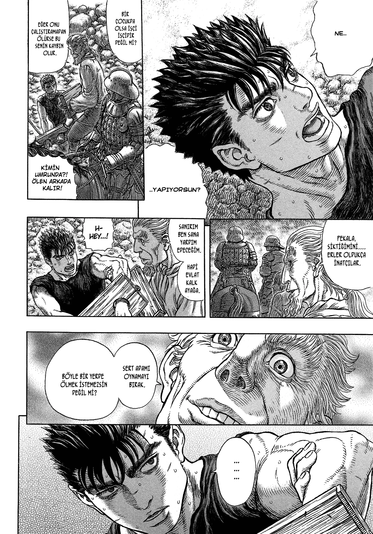 Read Berserk TR Manga Online