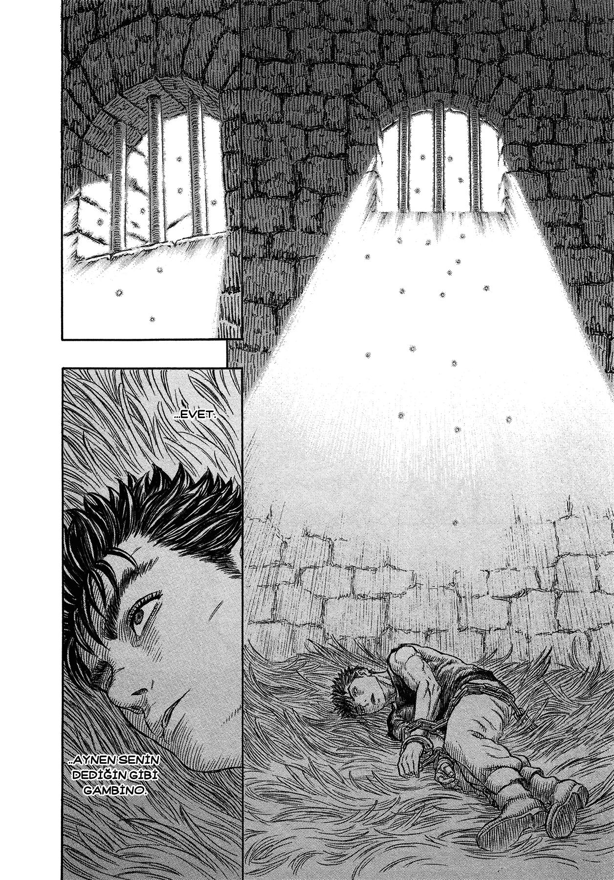 Read Berserk TR Manga Online