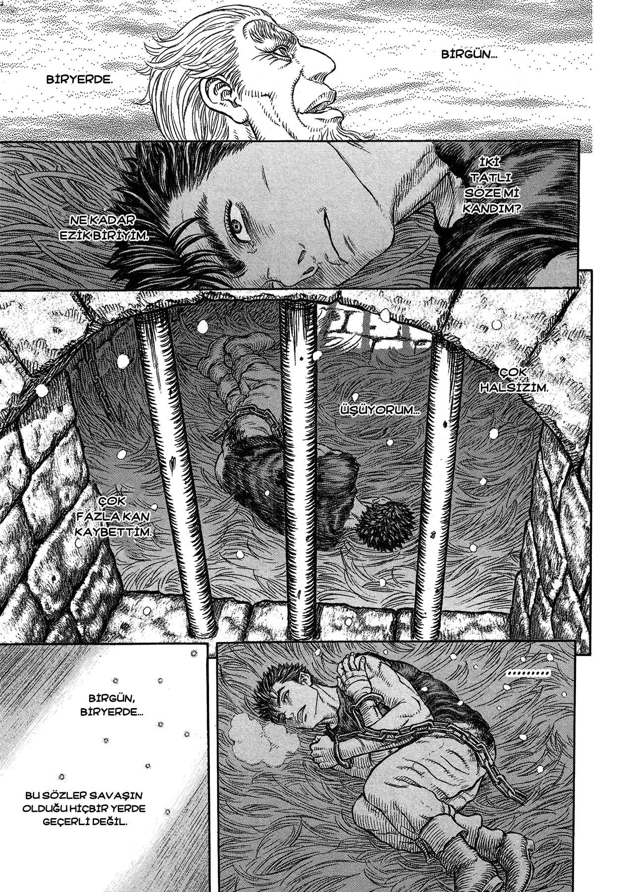 Read Berserk TR Manga Online