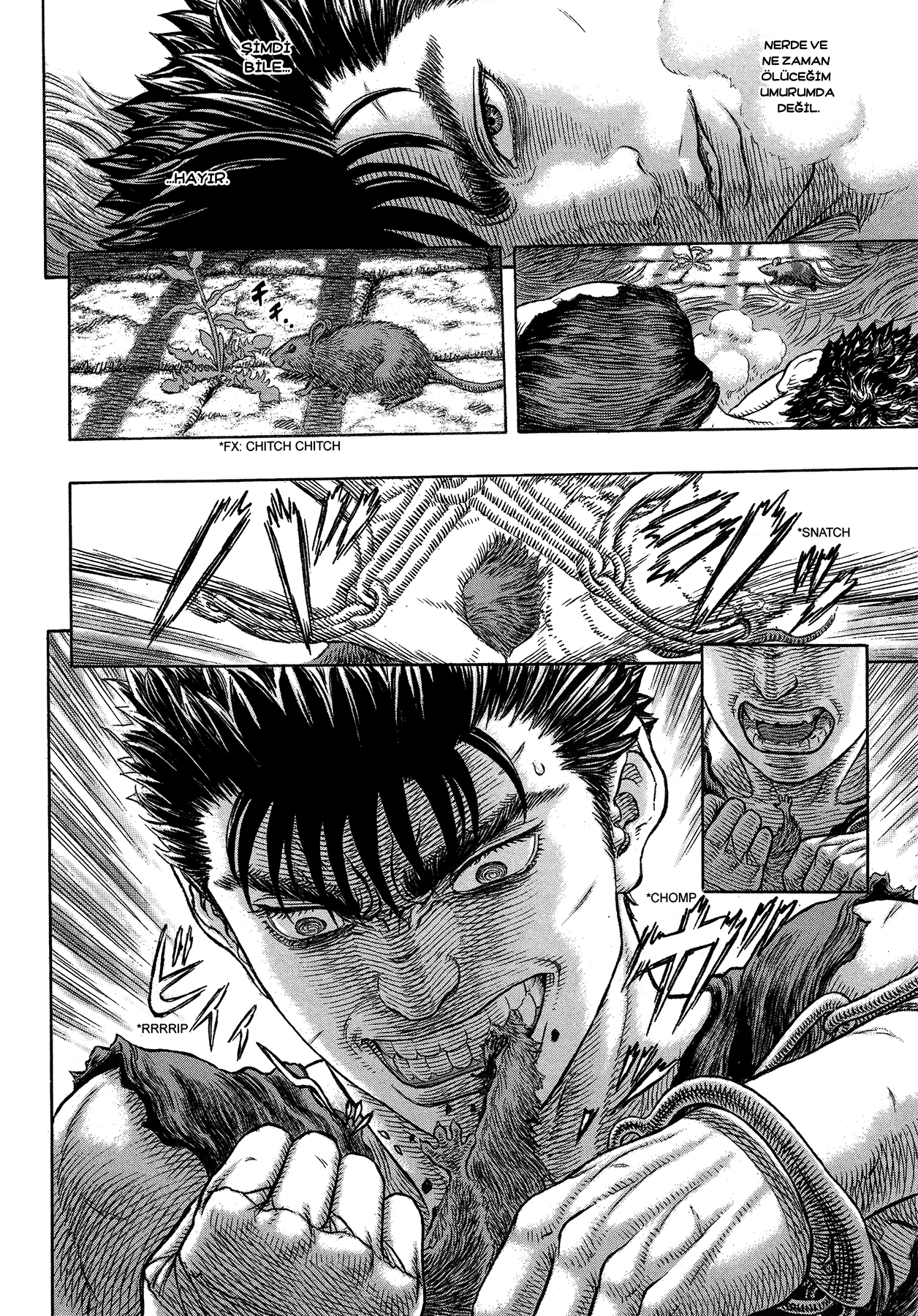Read Berserk TR Manga Online