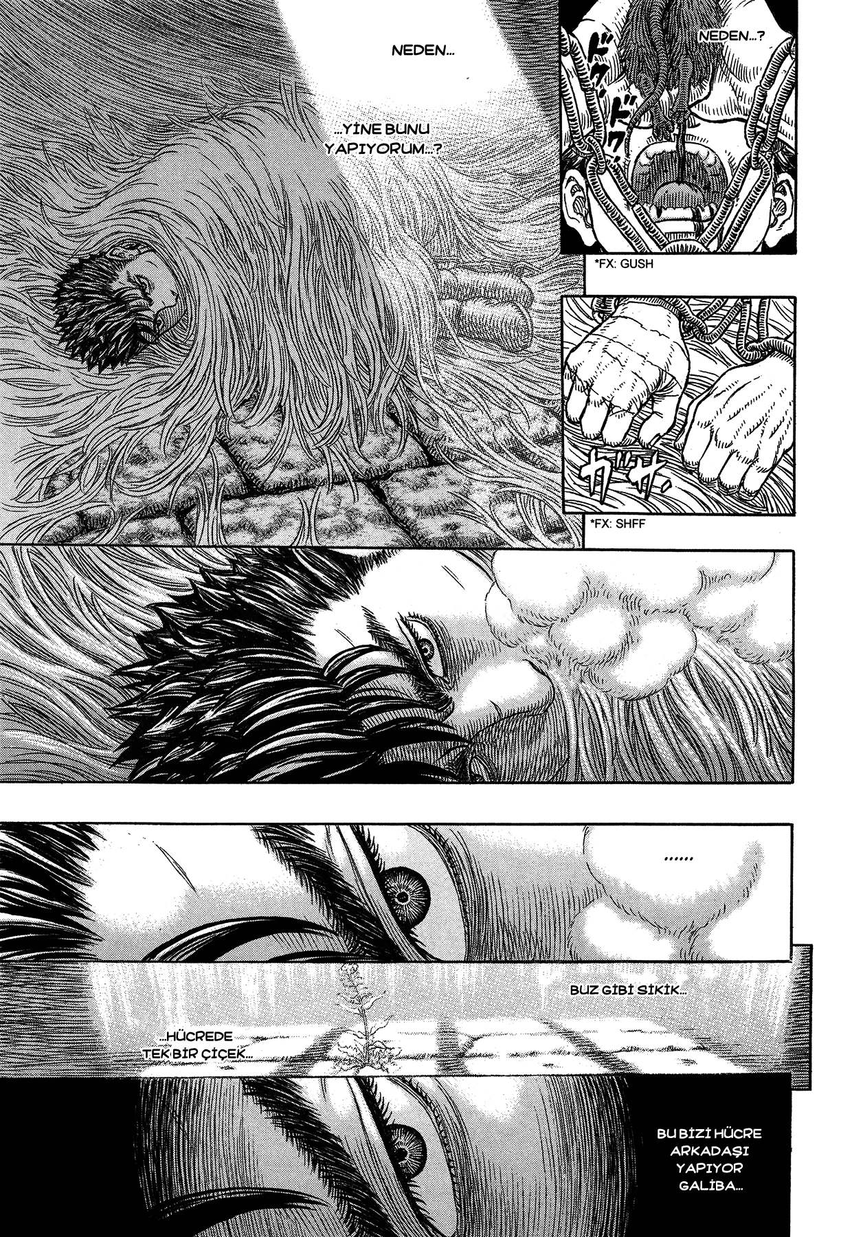 Read Berserk TR Manga Online